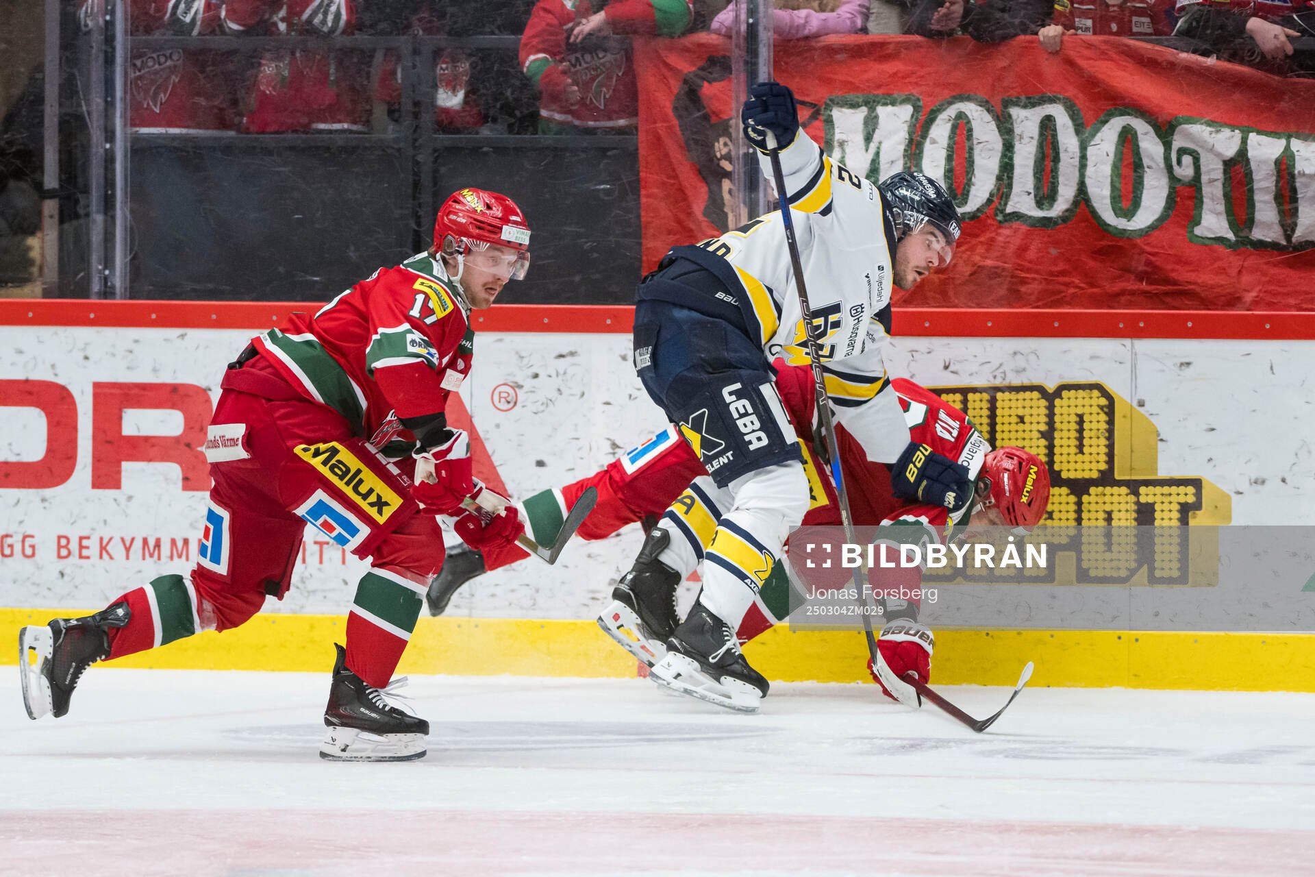 Modos Riley Woods och Sampo Ranta och HV71s Oscar Engsund