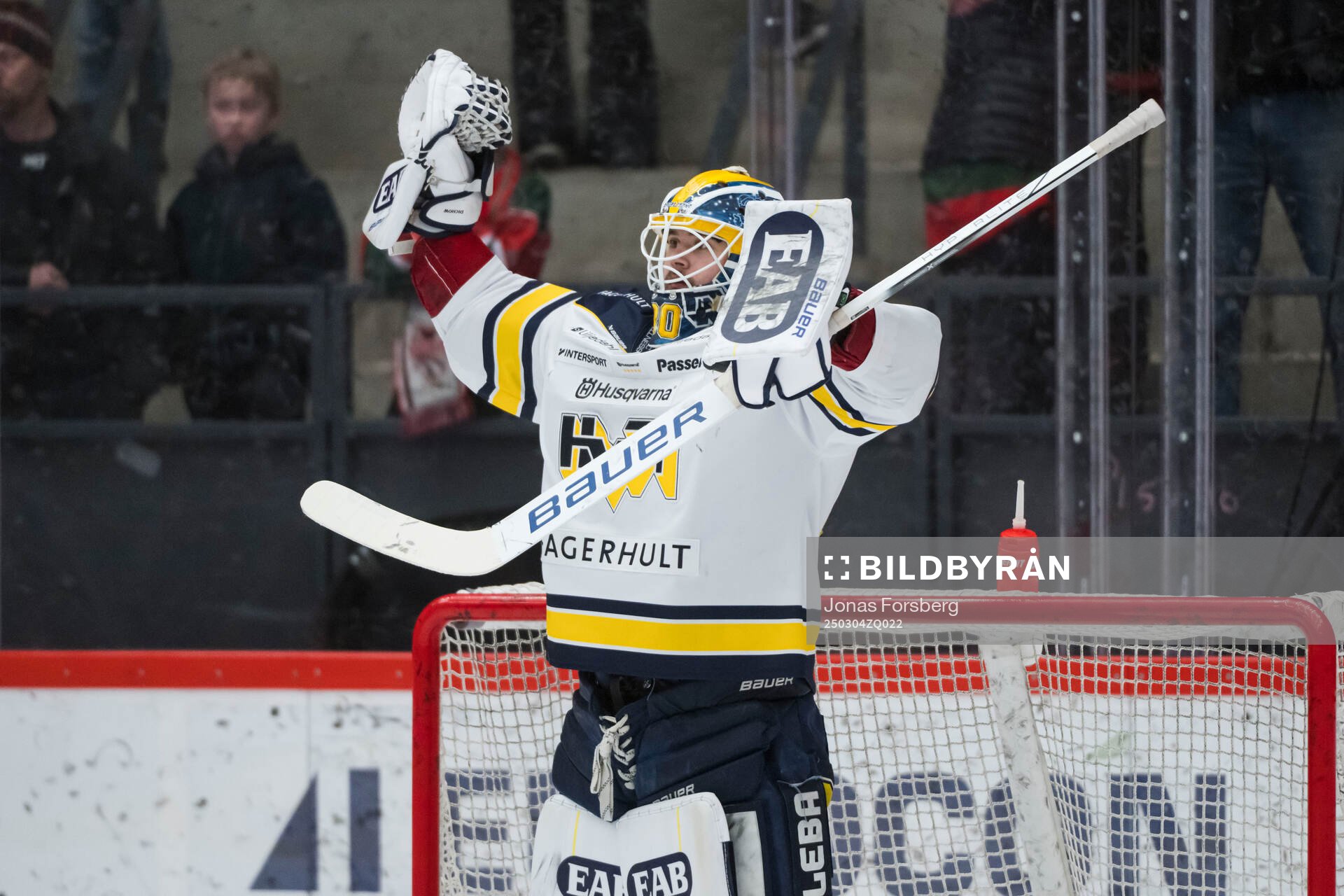 HV71s målvakt Frederik Dichow jublar