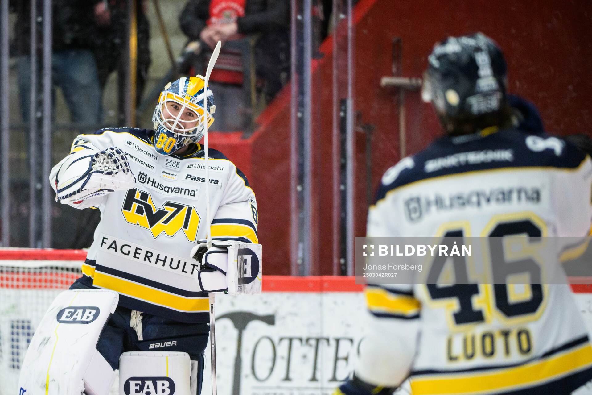 HV71s målvakt Frederik Dichow jublar