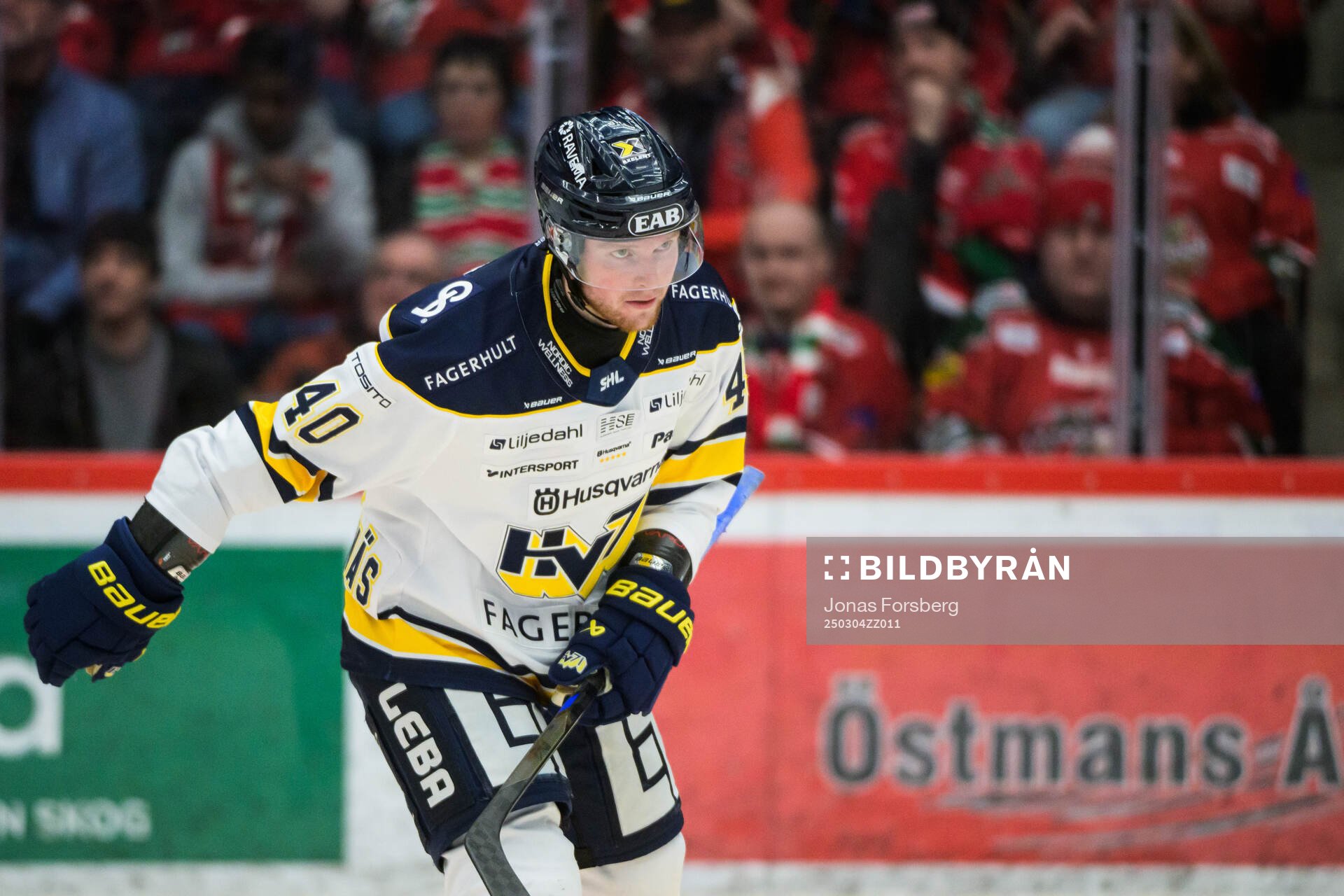 HV71s Oskar Stål-Lyrenäs
