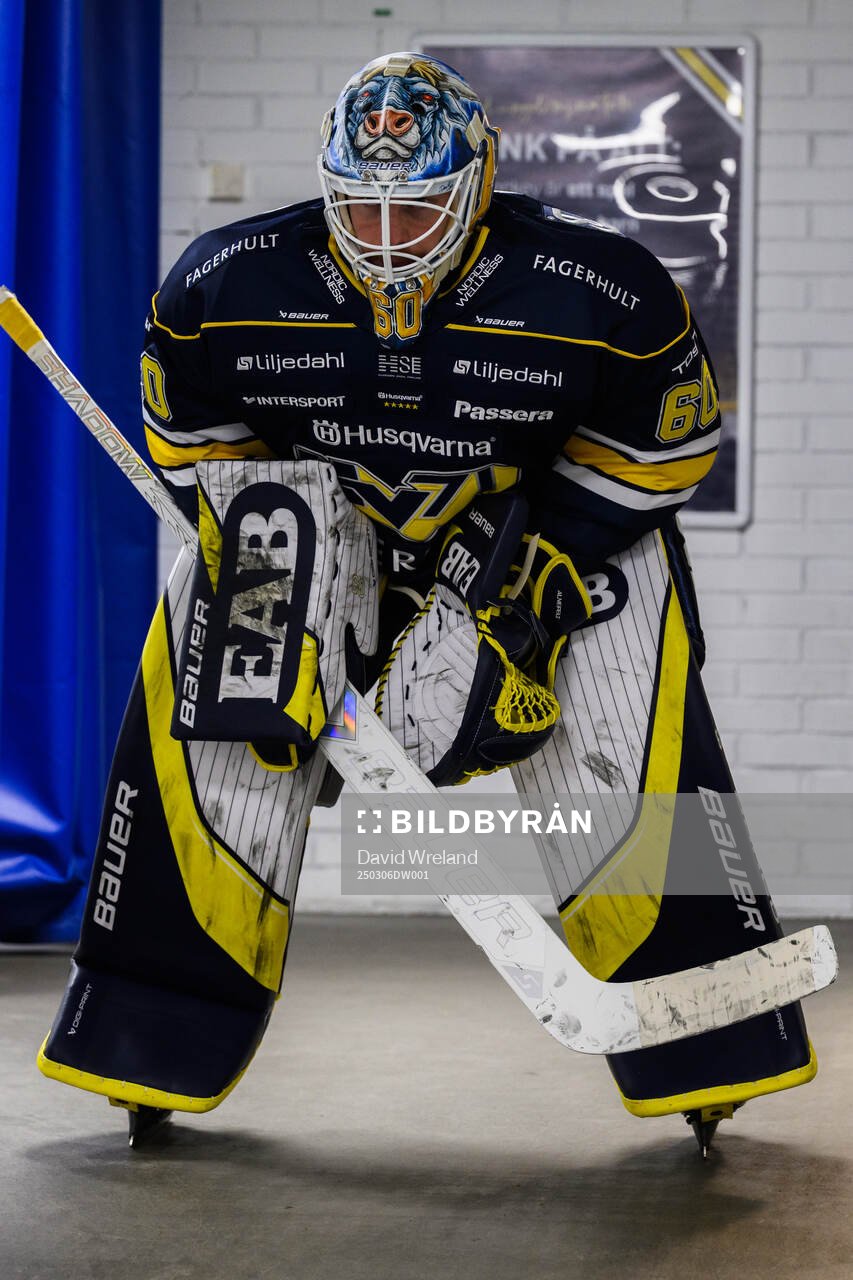 HV71s målvakt Hugo Alnefelt