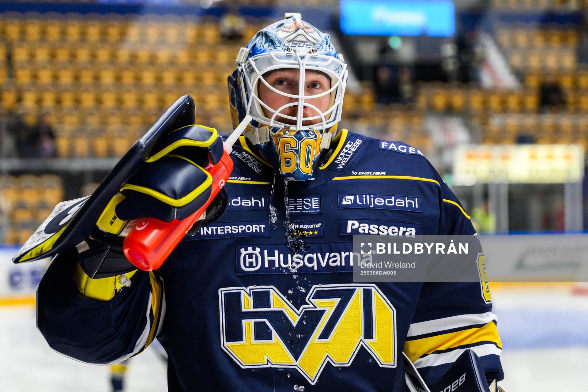 HV71s målvakt Hugo Alnefelt