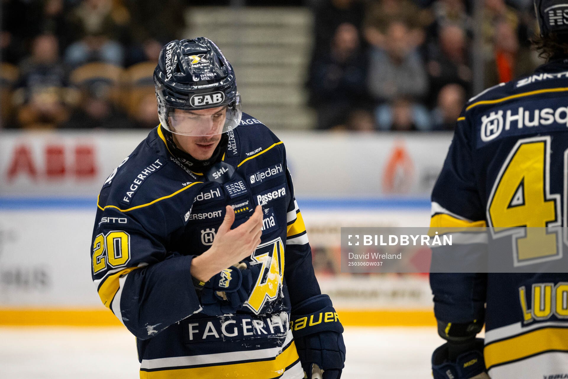HV71s Andre Petersson