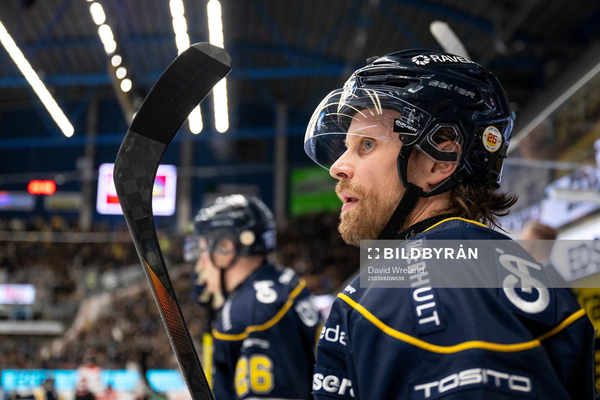 HV71s Mattias Tedenby