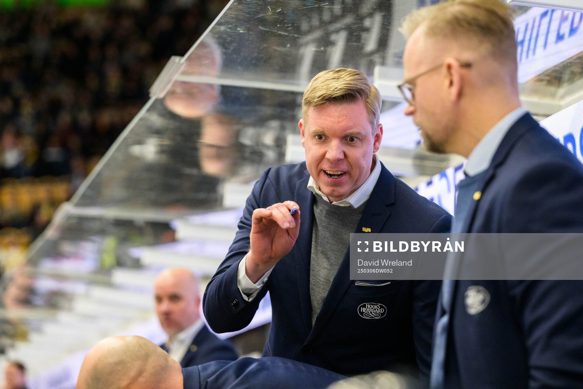 HV71s tränare Anton Blomqvist