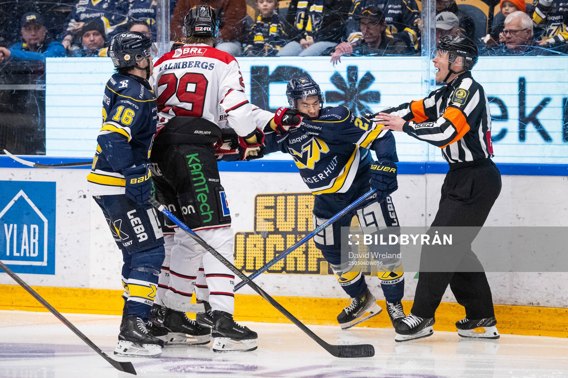 HV71s Jonathan Ang