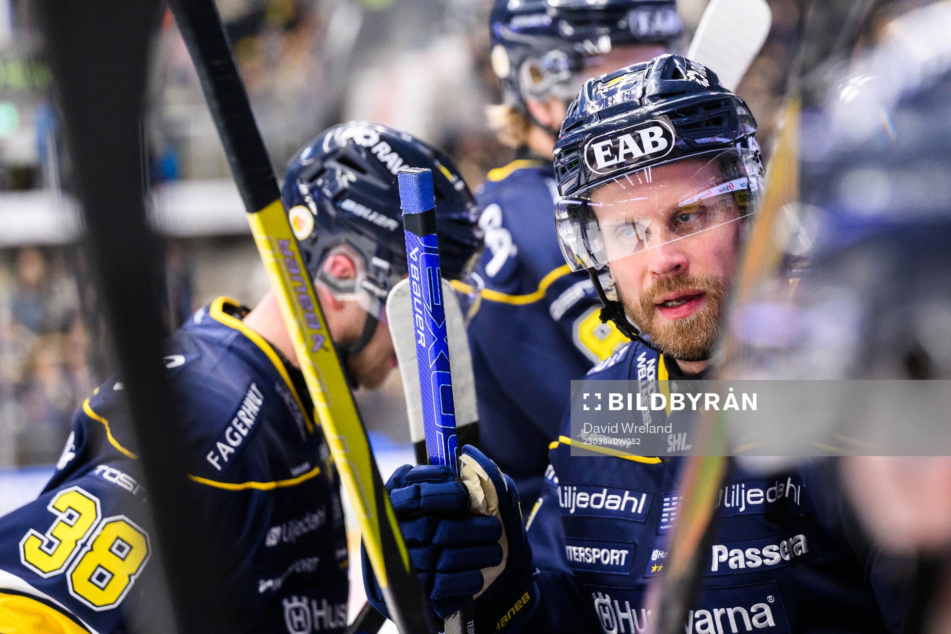 HV71s Mattias Tedenby