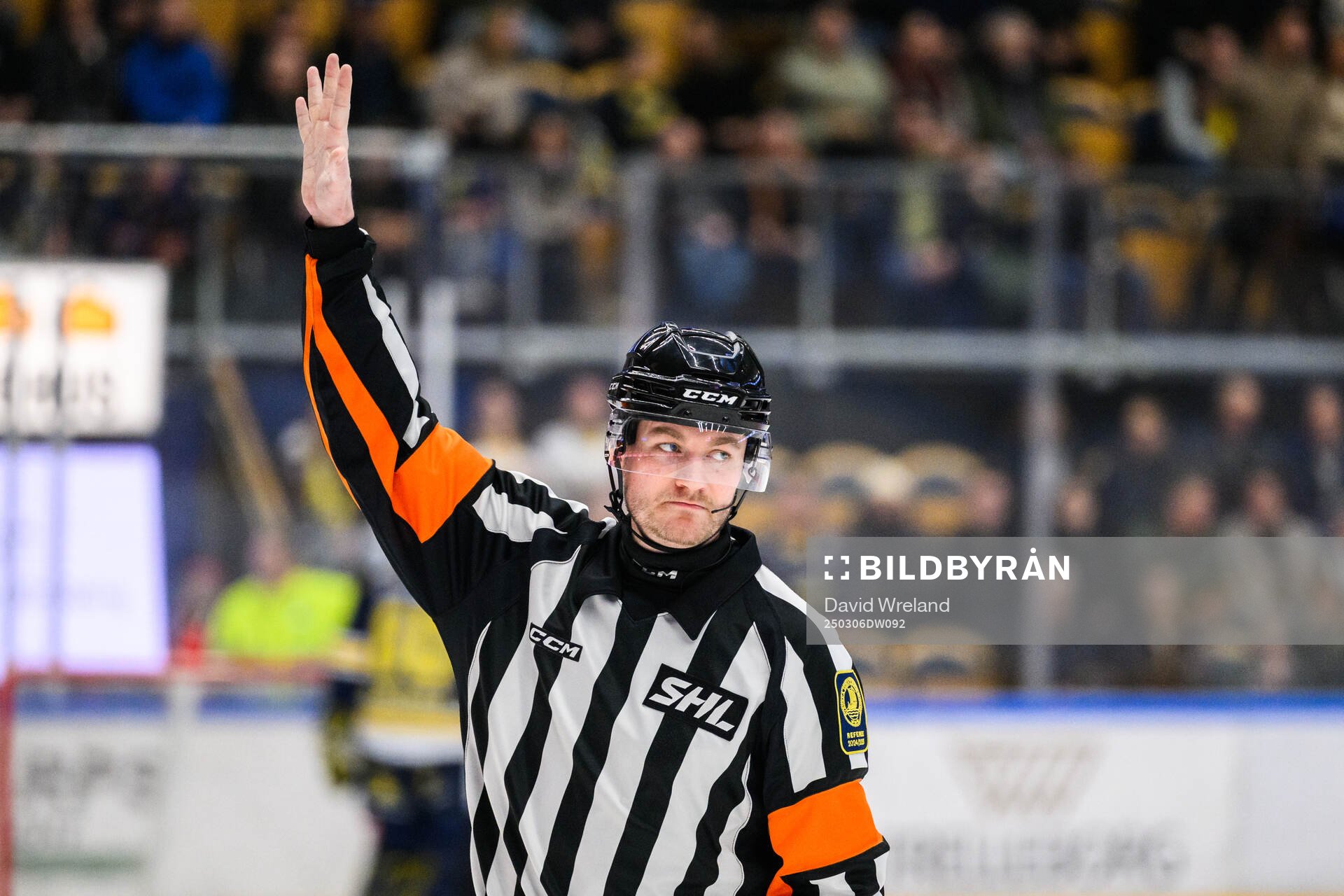 Domare Daniel Eriksson