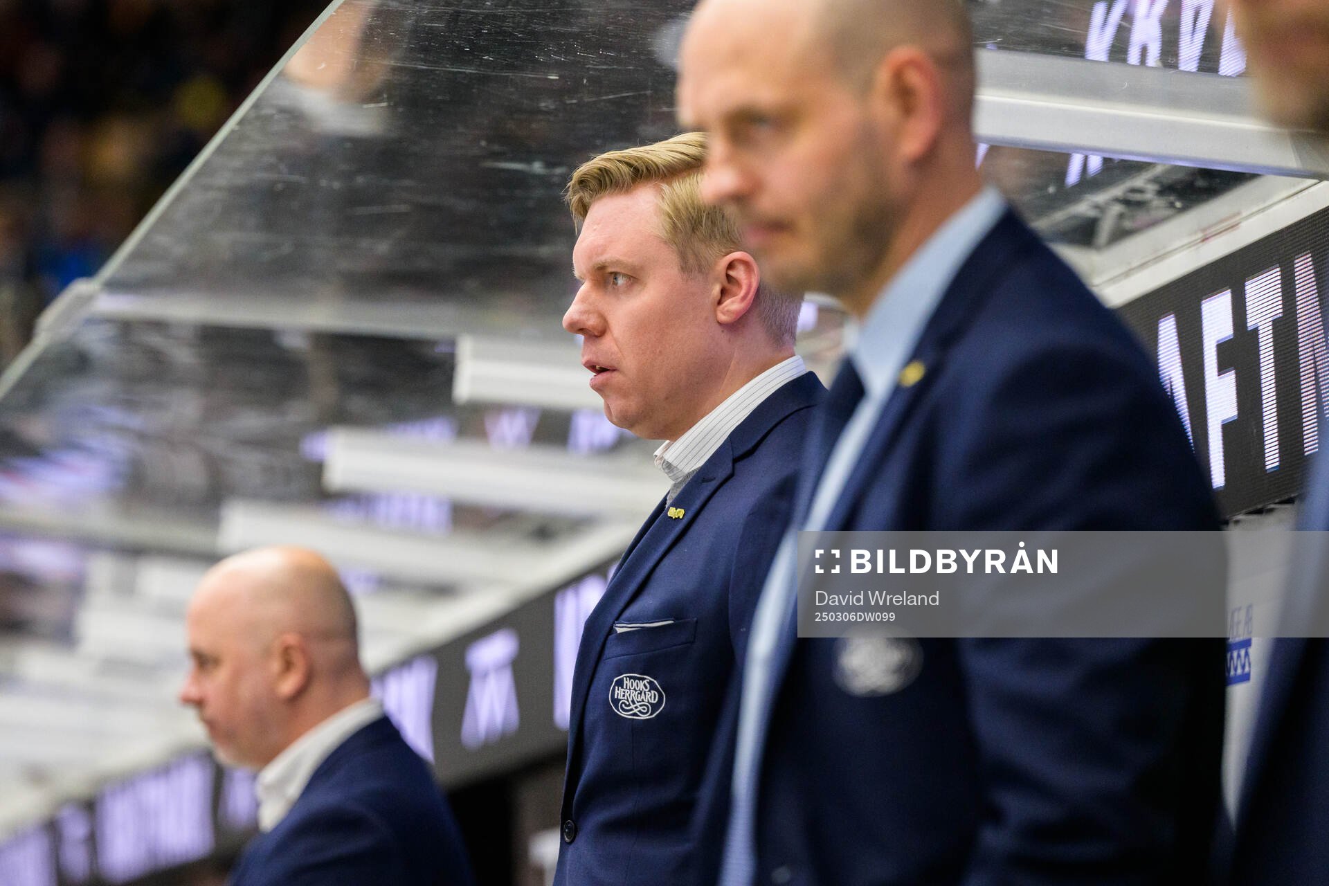 HV71s tränare Anton Blomqvist