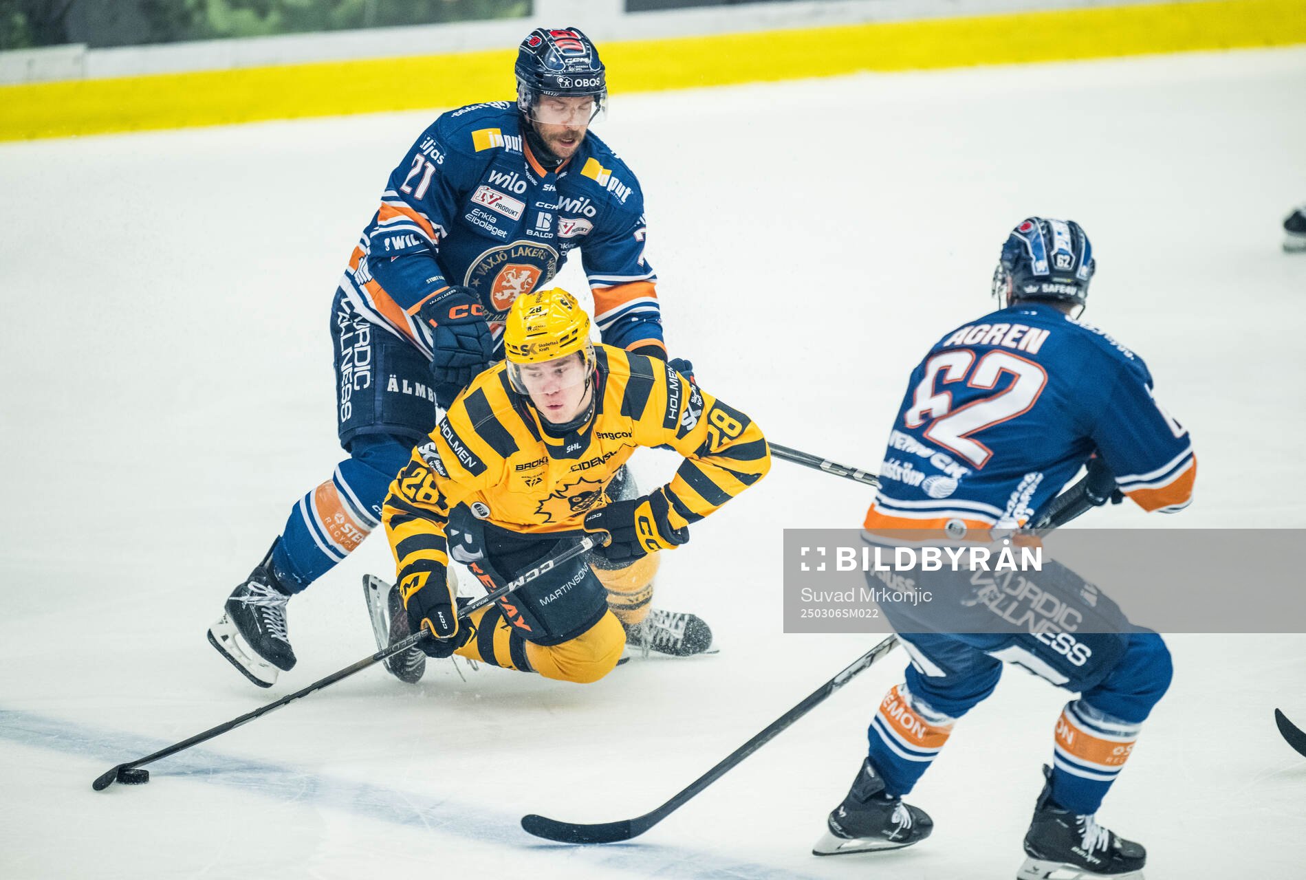 Skellefteås Michael Brandsegg-Nygård och Växjös Brian