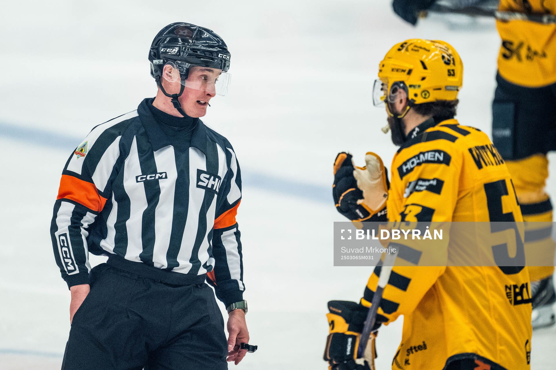 Domare Alexander Österberg och Skellefteås Luke Witkowski