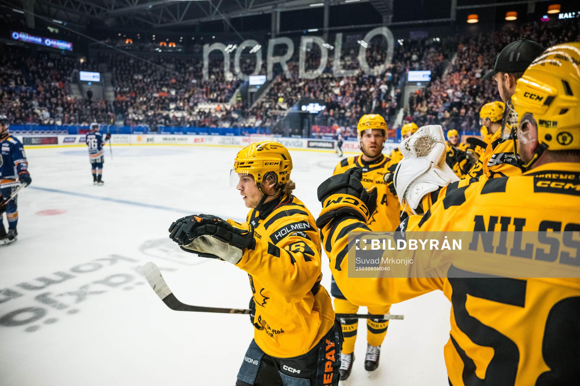 Skellefteås Anton Heikkinen jublar