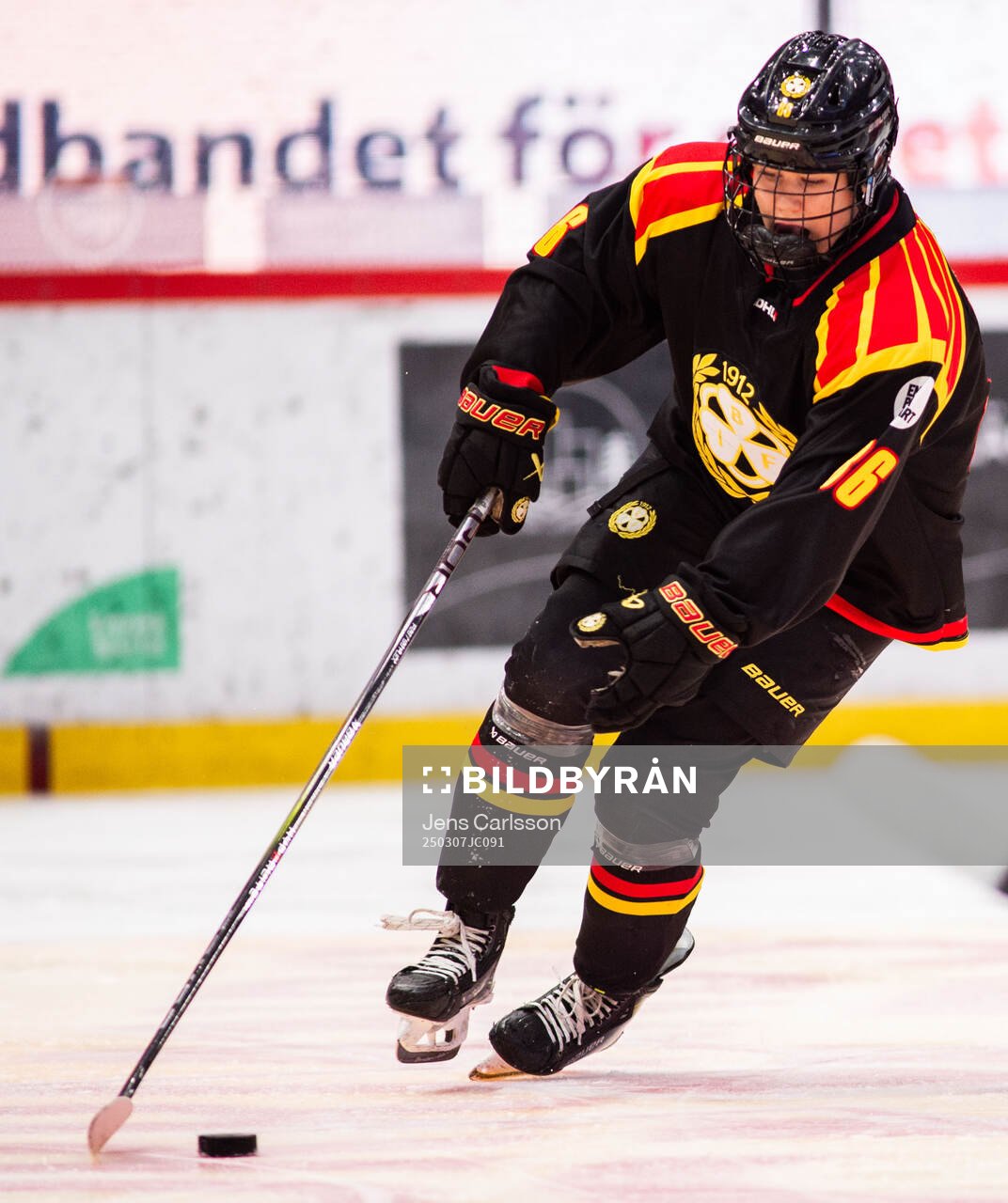 Brynäs Sanni Vanhanen