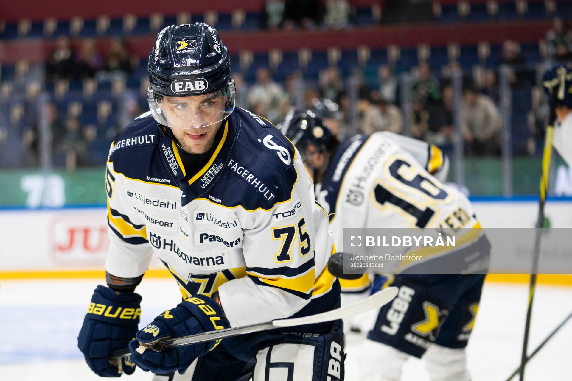 HV71s Radan Lenc