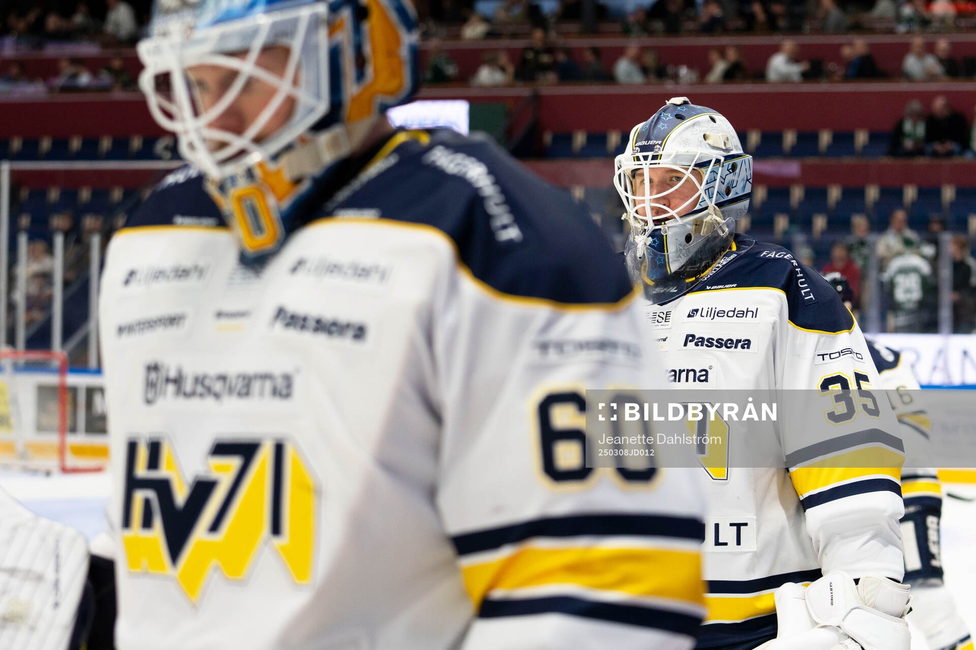 HV71s målvakt Olof Glifford