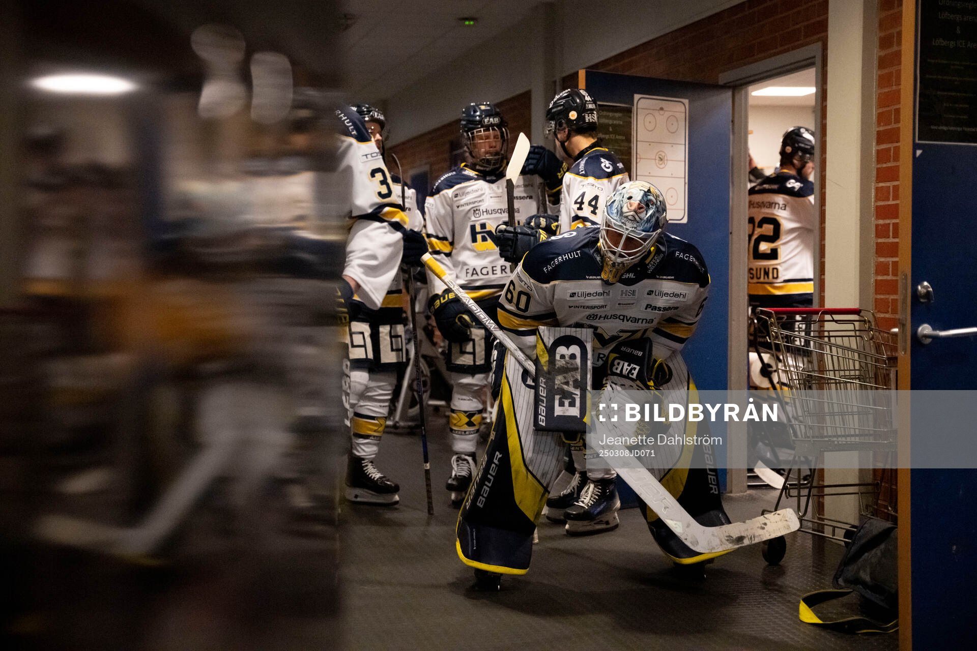 HV71s målvakt Hugo Alnefelt
