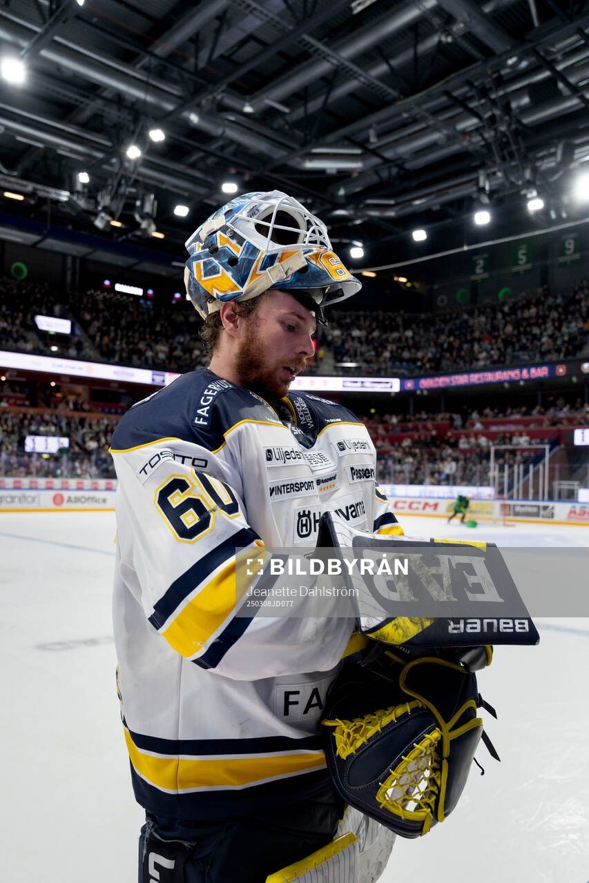 HV71s målvakt Hugo Alnefelt