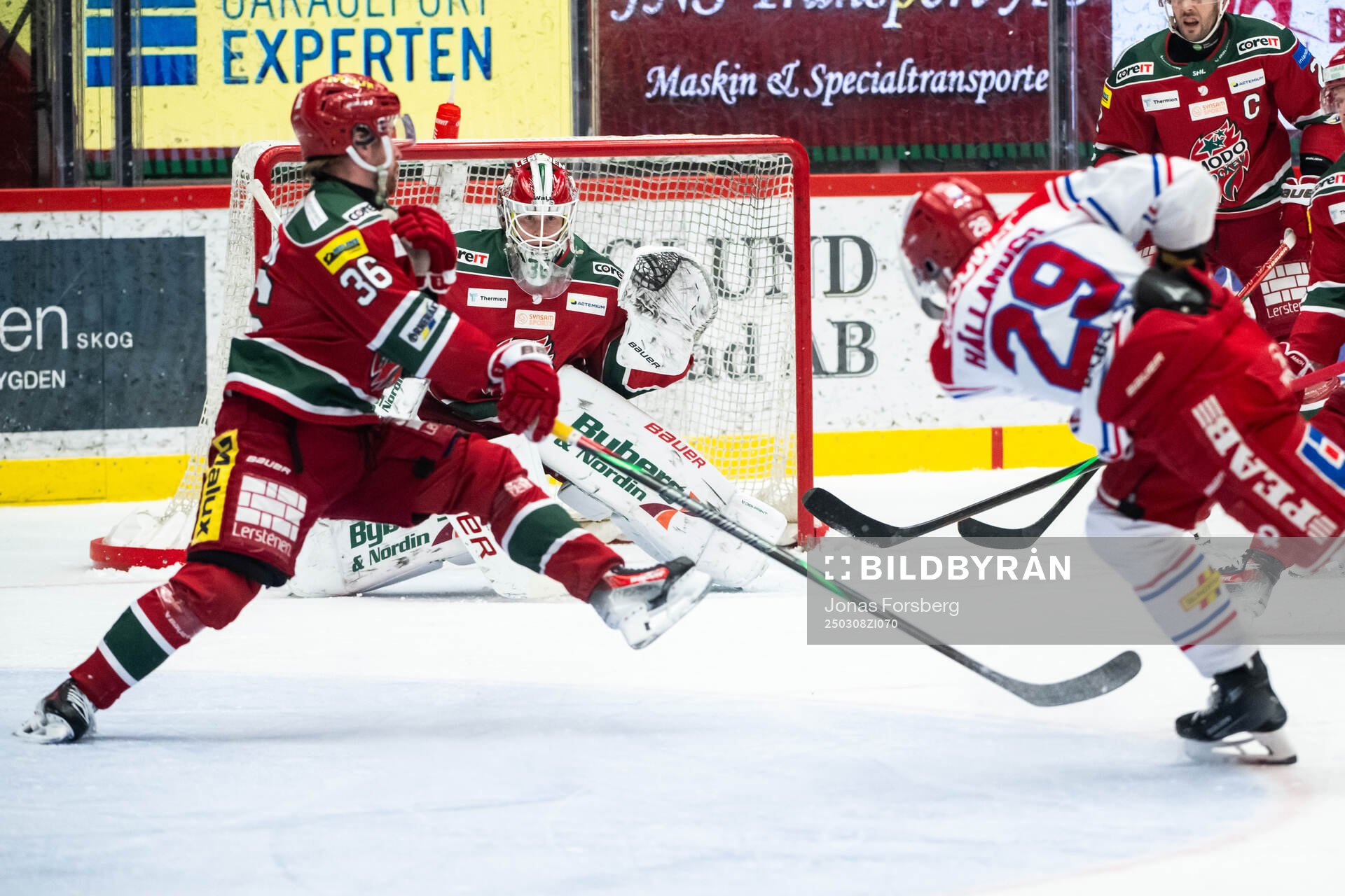 Timrås Filip Hållander gör 2-1 på Modos målvakt Lassi