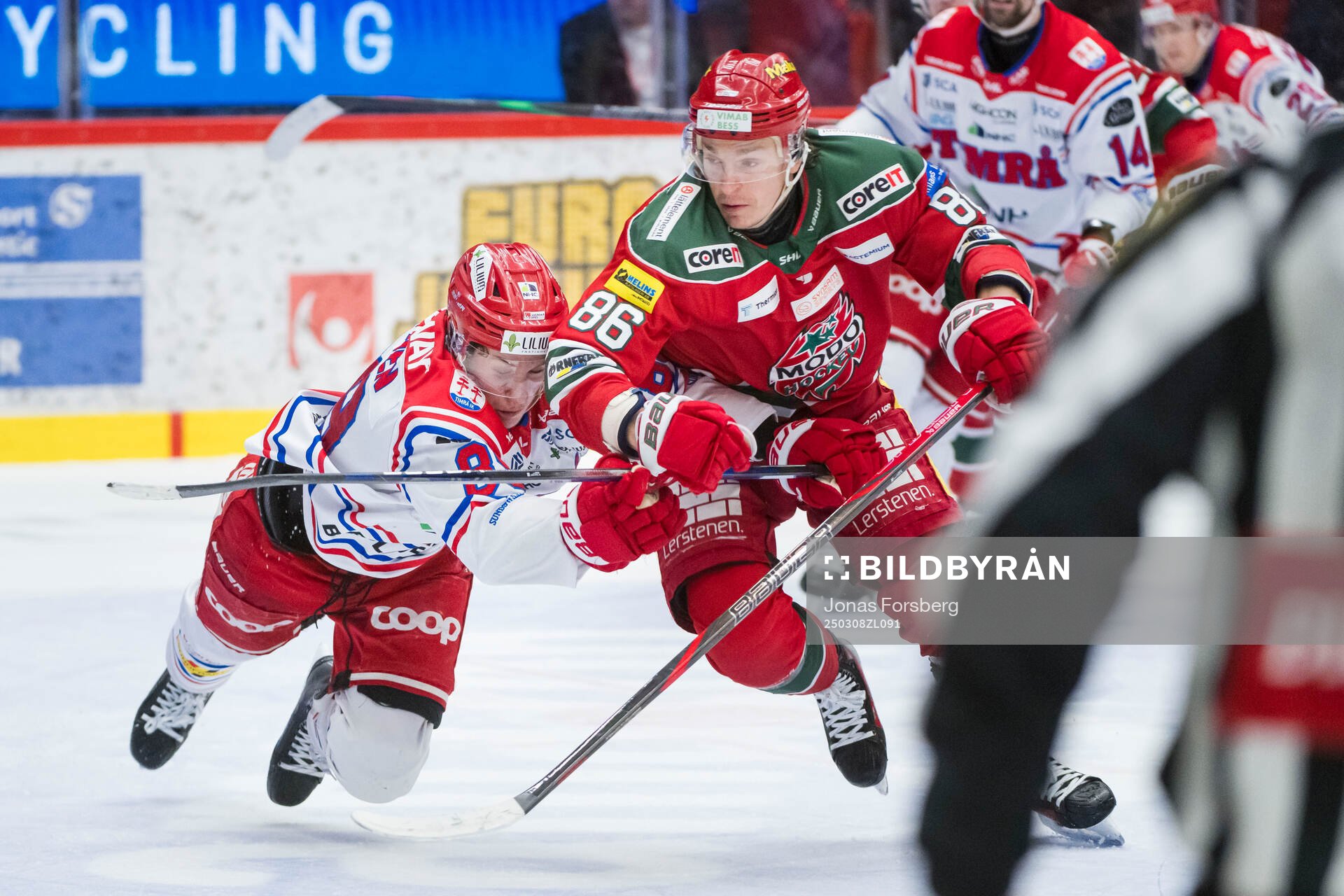 Timrås Oliver Kapanen och Modos Lukas Jasek