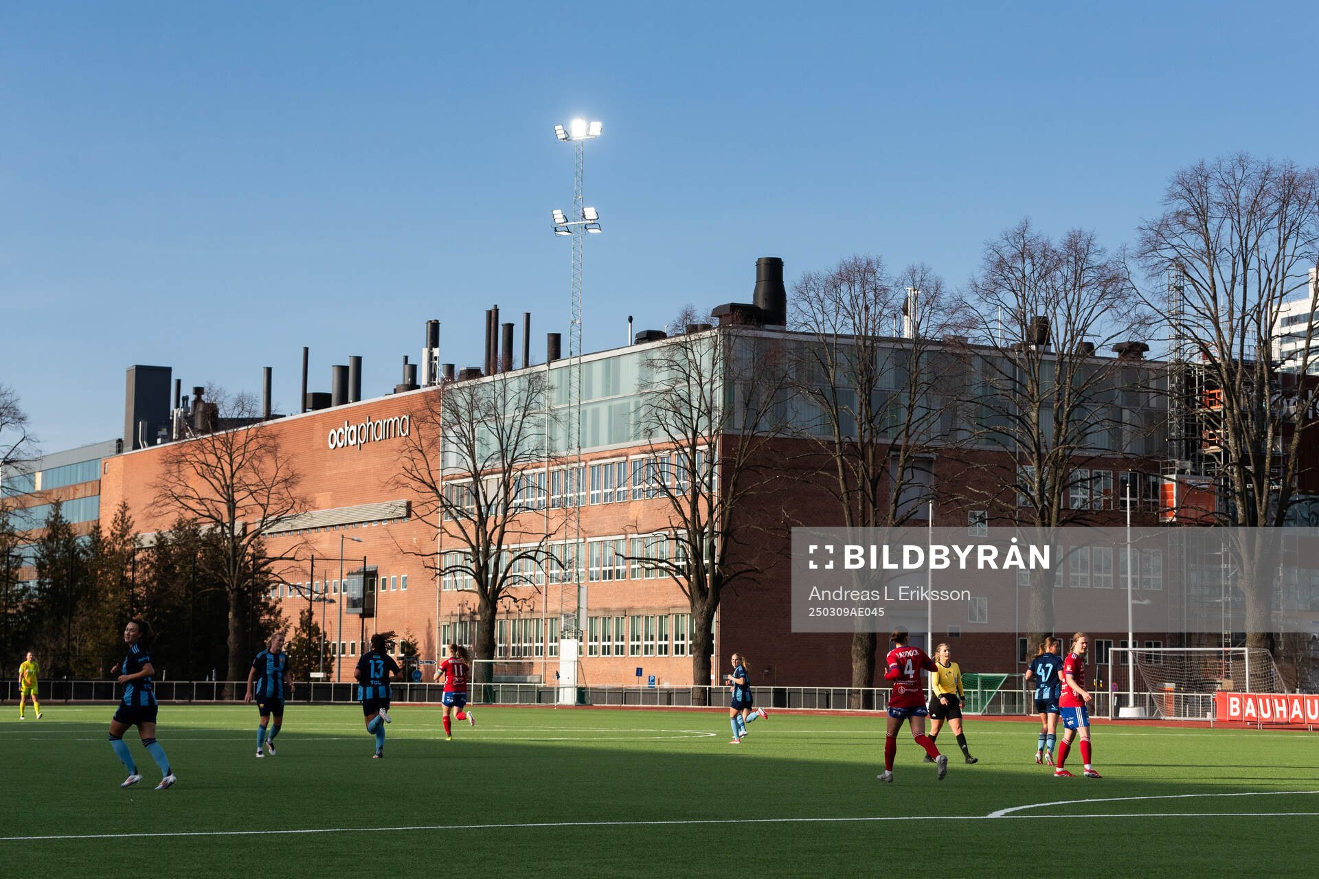 Kristinebergs IP