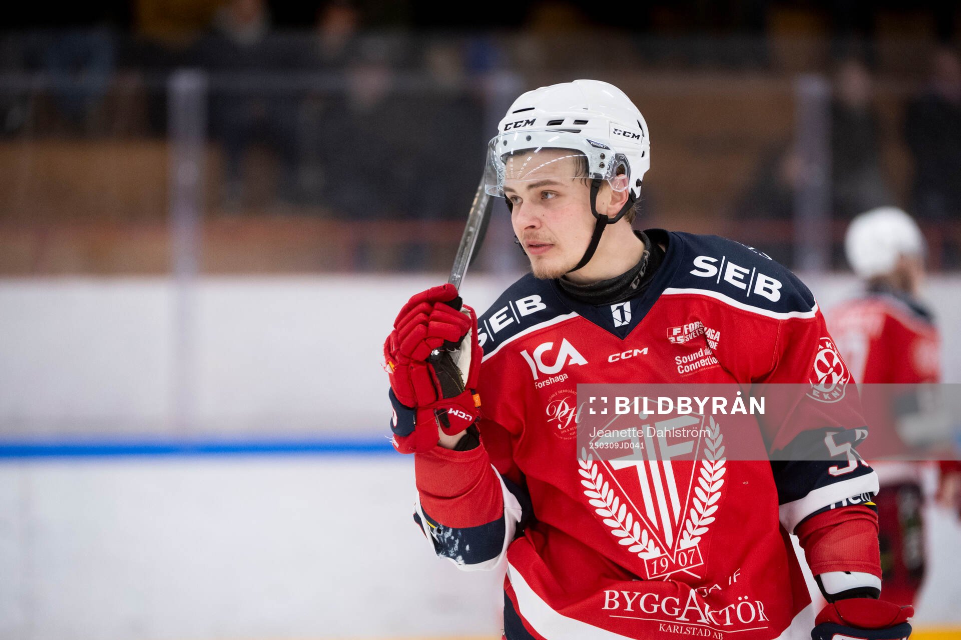 Forshagas Alfred Bergman