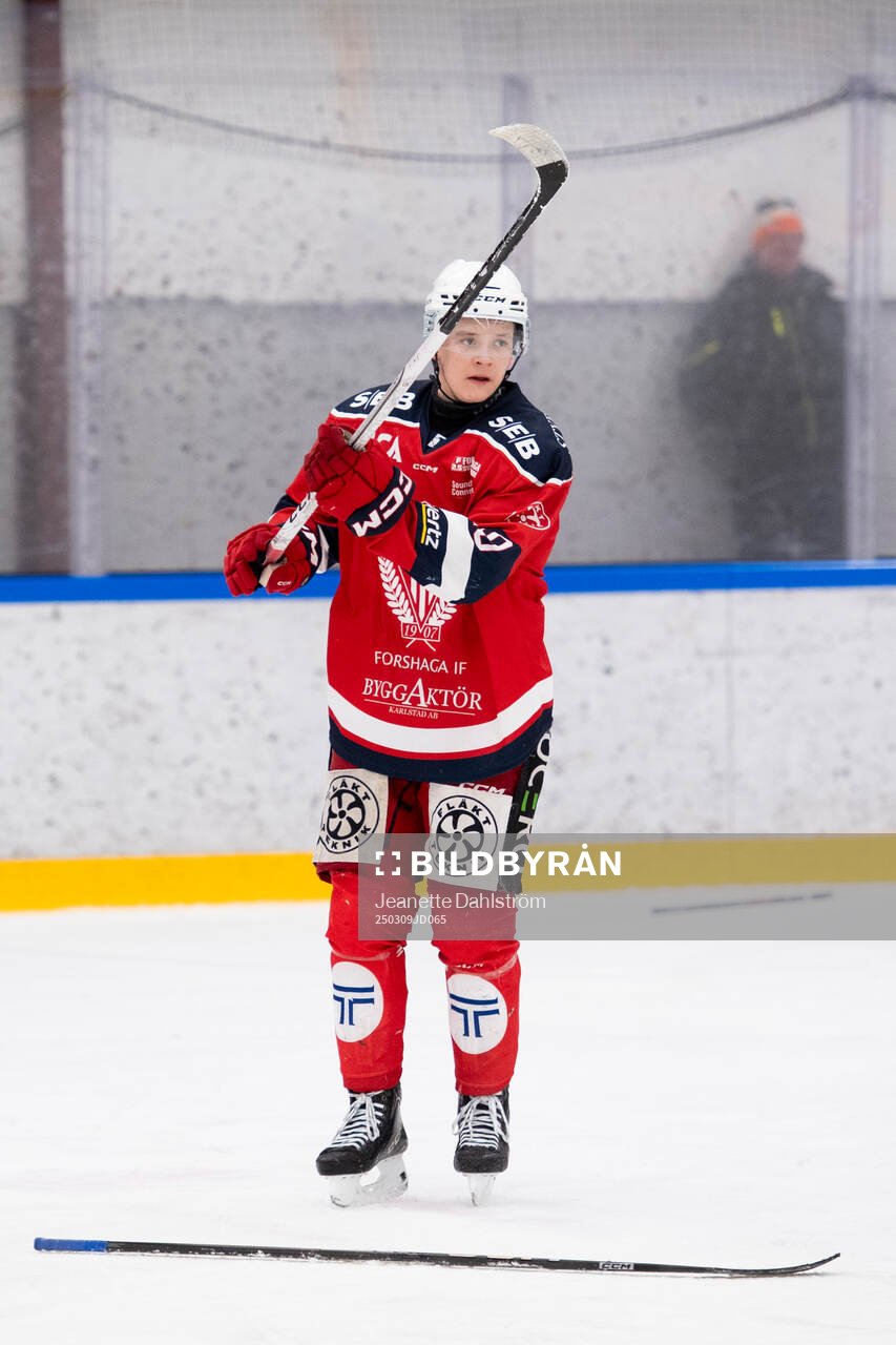 Forshagas Hugo Hell