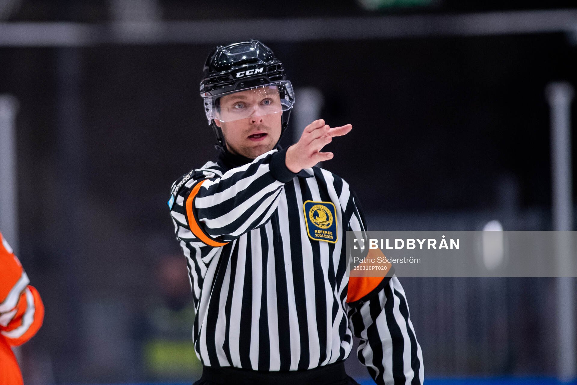 Domare Robin Forslund