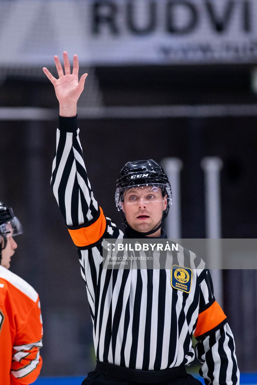 Domare Robin Forslund