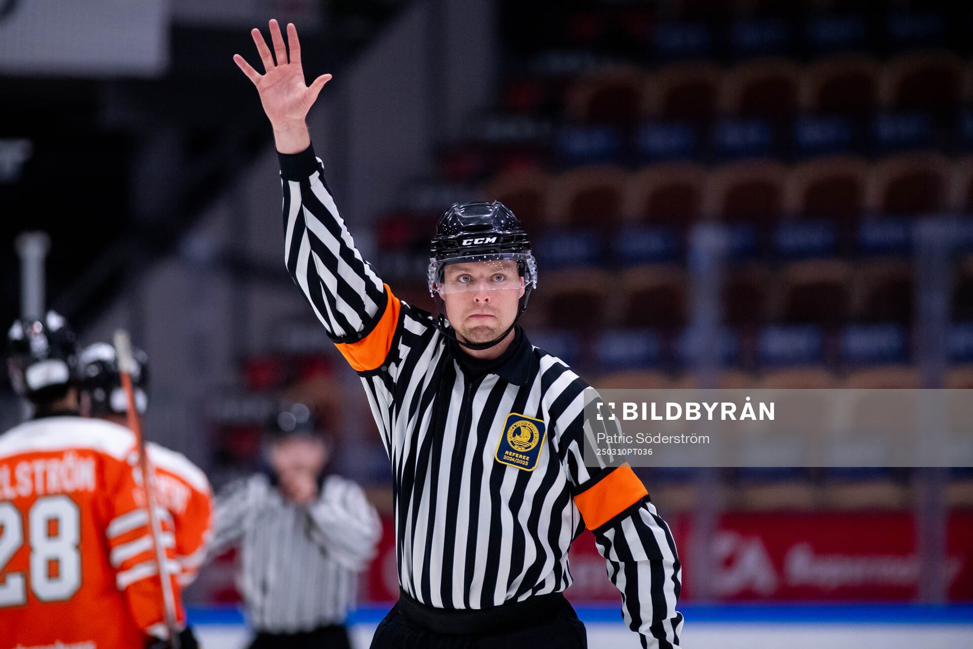 Domare Robin Forslund