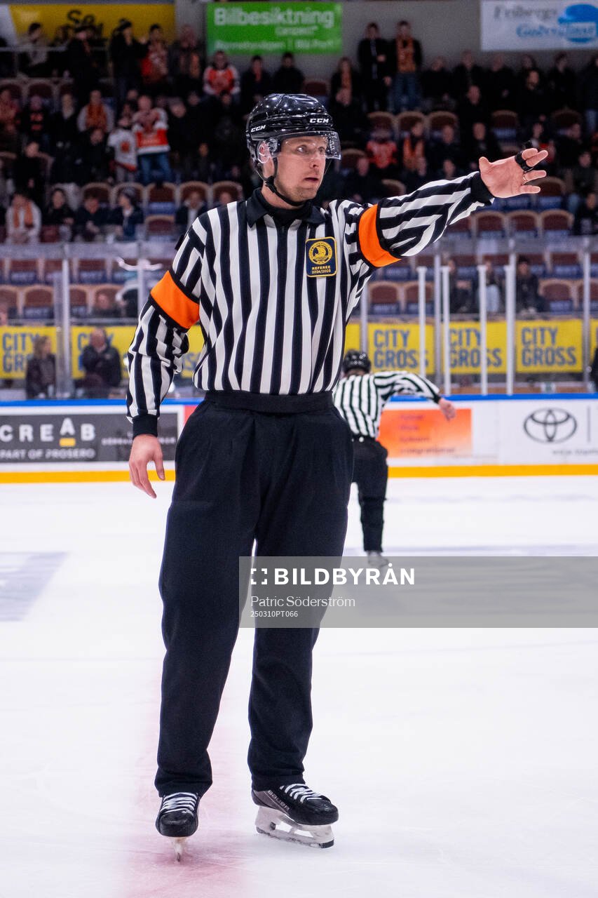 Domare Robin Forslund