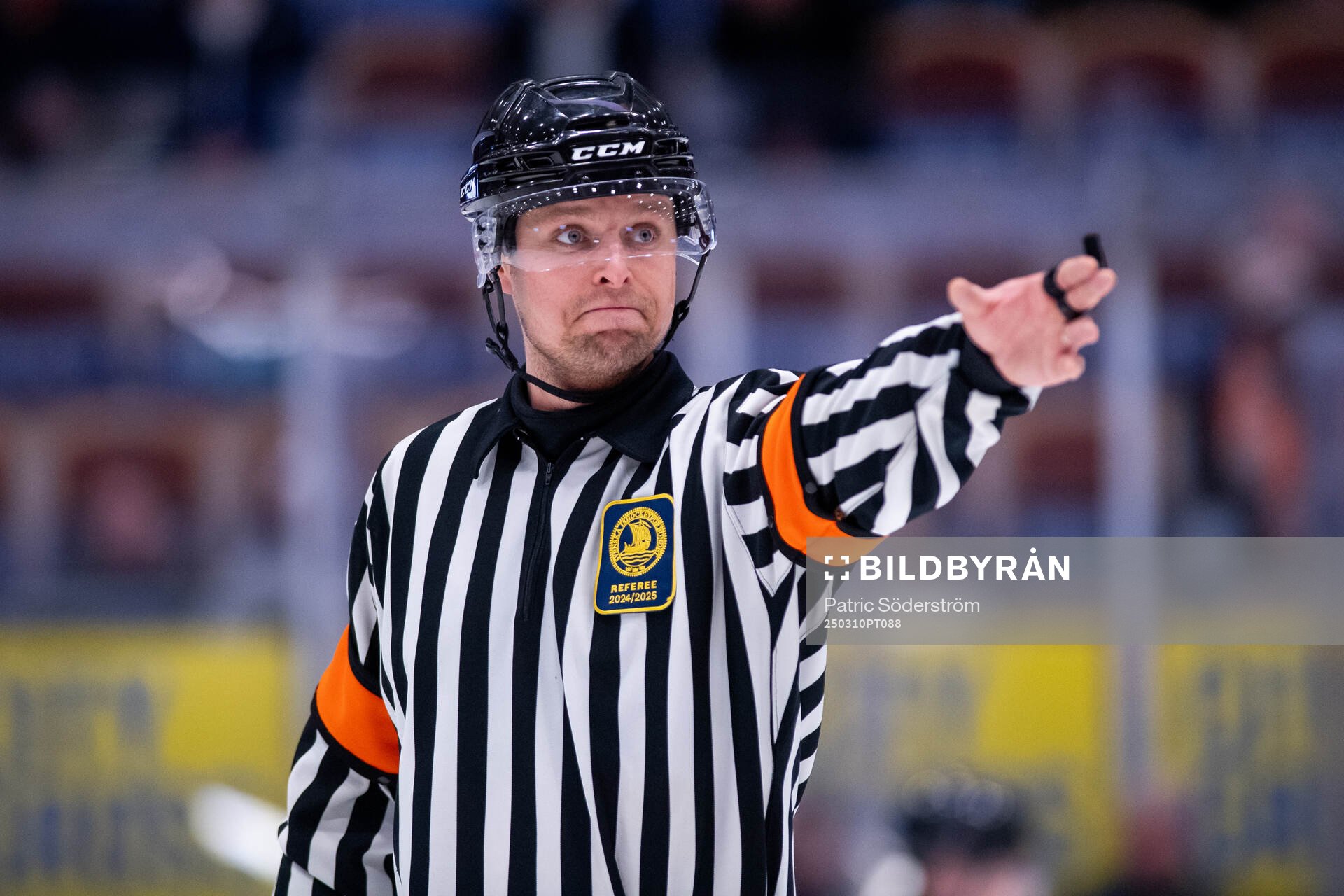 Domare Robin Forslund