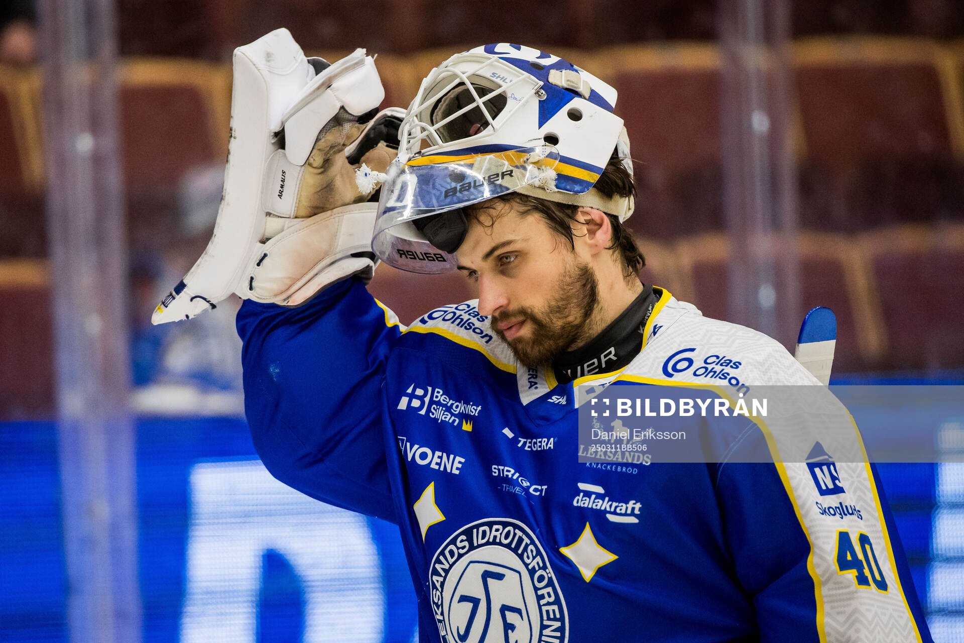 Leksands målvakt Mantas Armalis