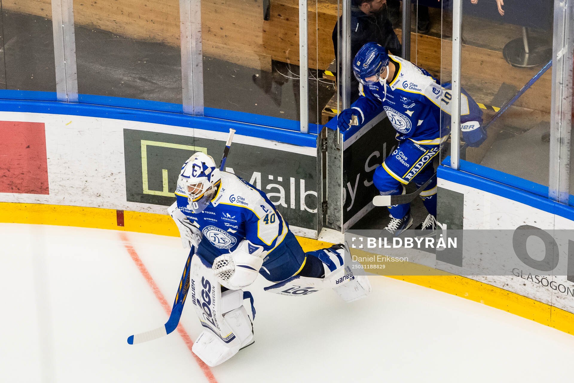 Leksands målvakt Mantas Armalis