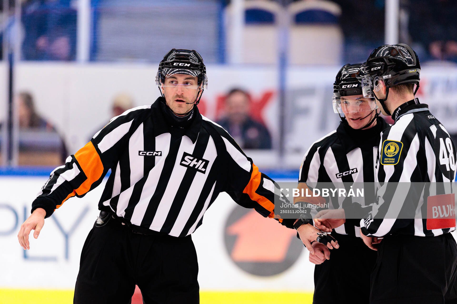 Domare Kristoffer Folkstrand och Domare Alexander Österberg