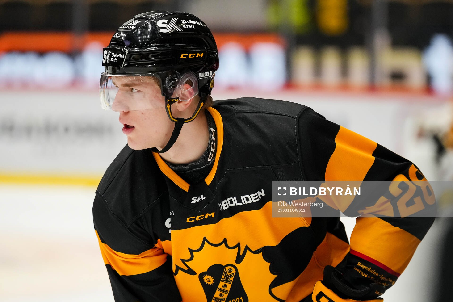 Skellefteås Michael Brandsegg-Nygård