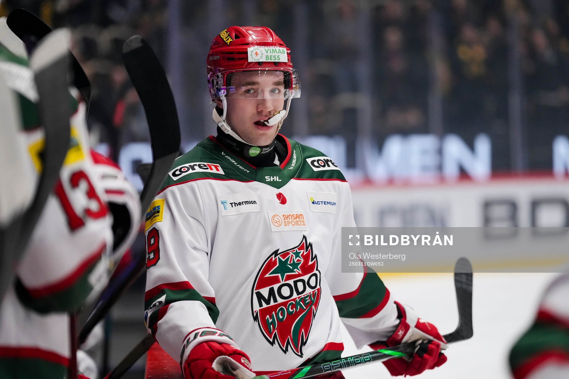 Modos Lucas Pettersson