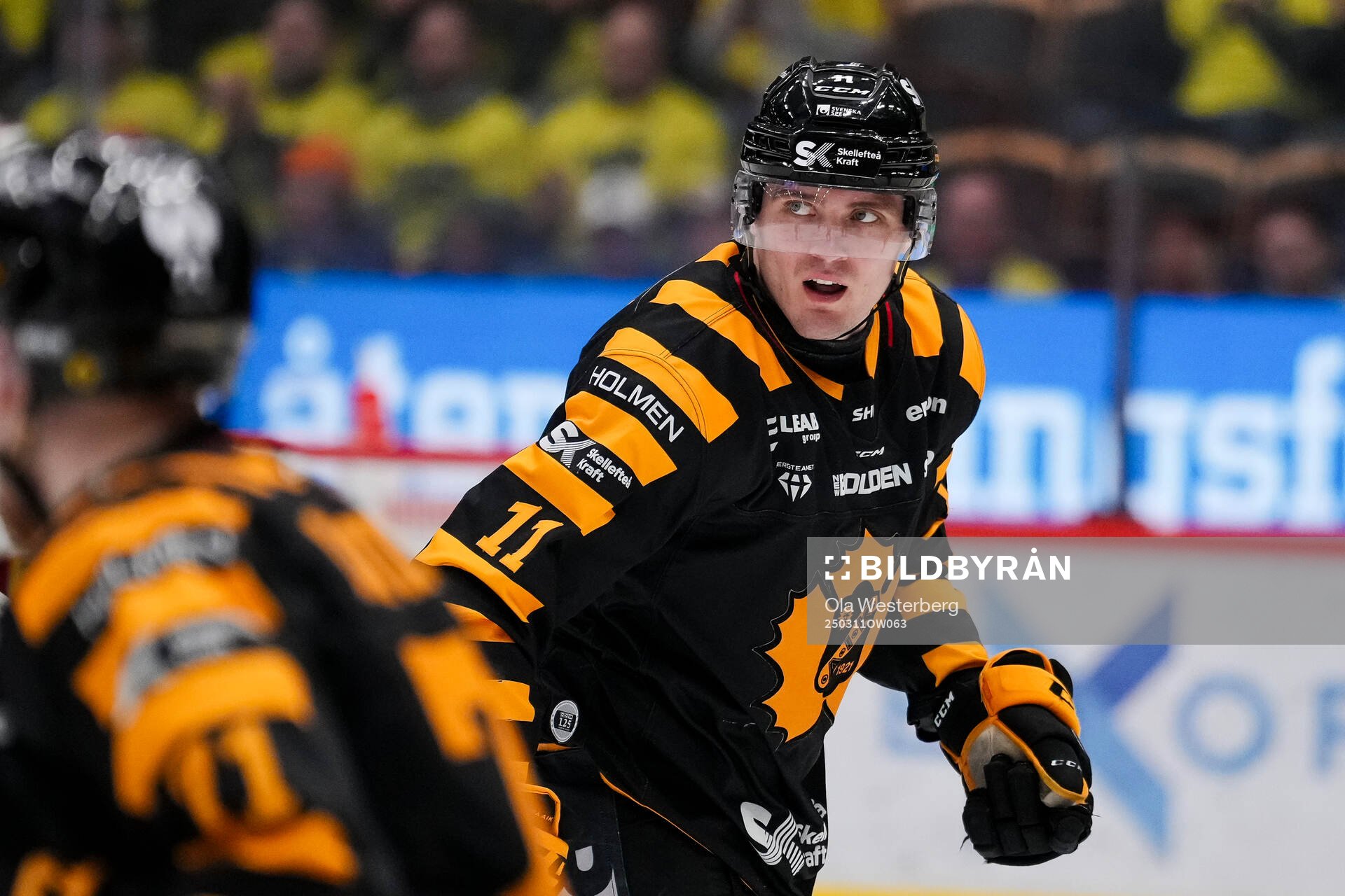 Skellefteås Max Lindholm