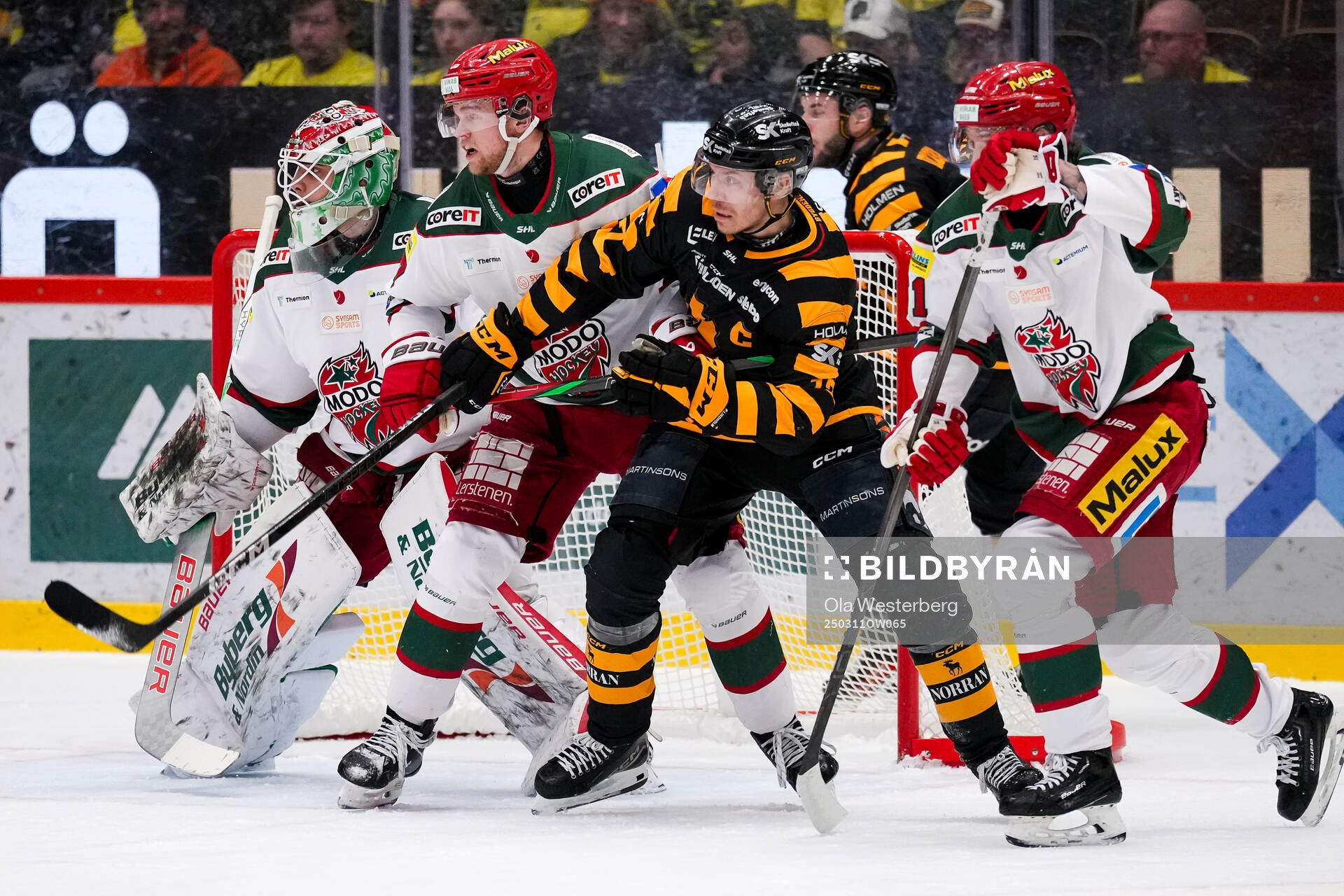 Skellefteås Pär Lindholm