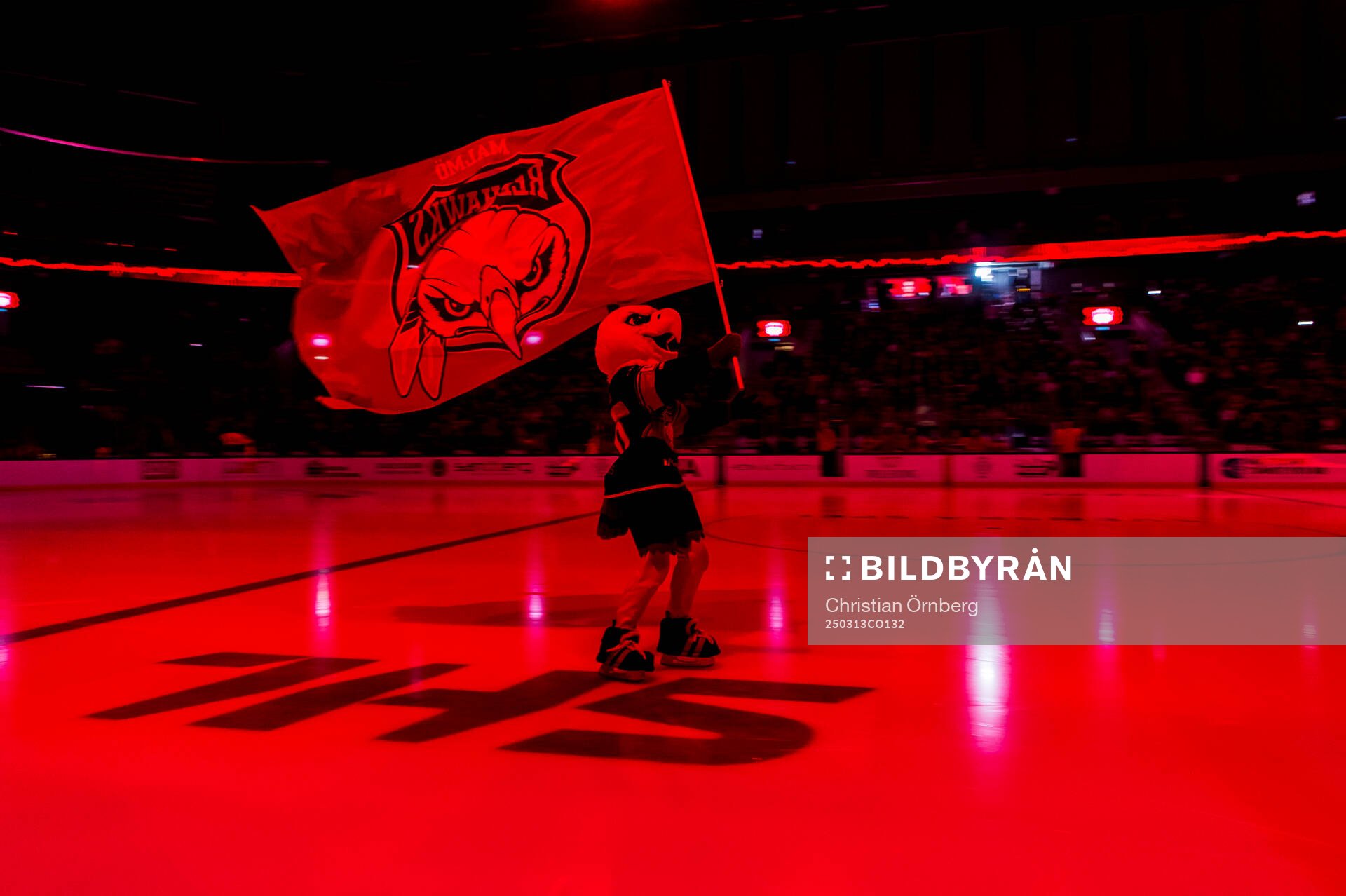 Malmö Redhawks maskot Hawkan