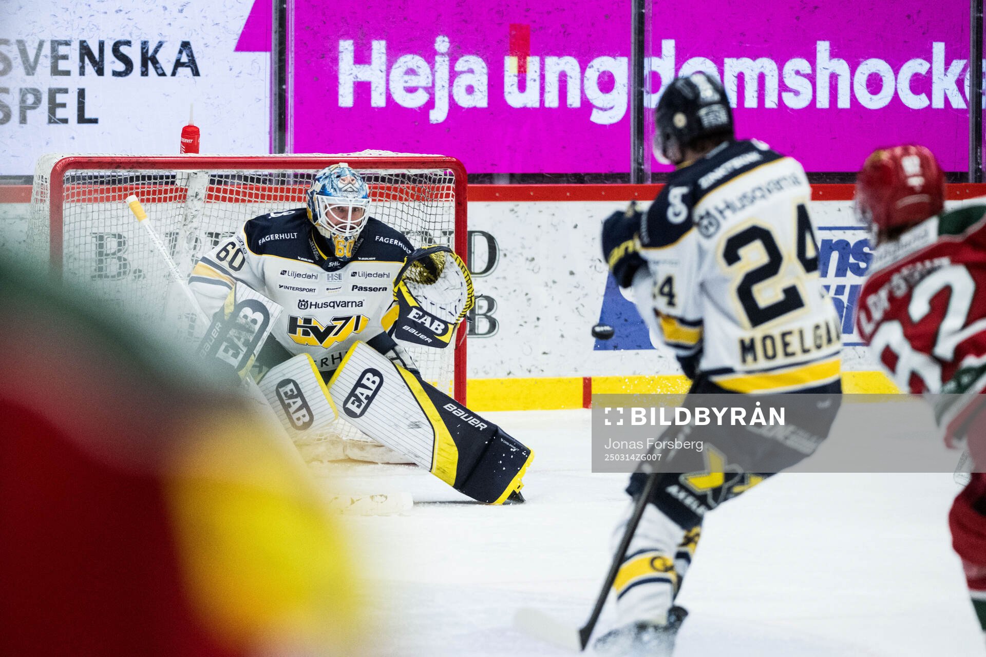 HV71s målvakt Hugo Alnefelt