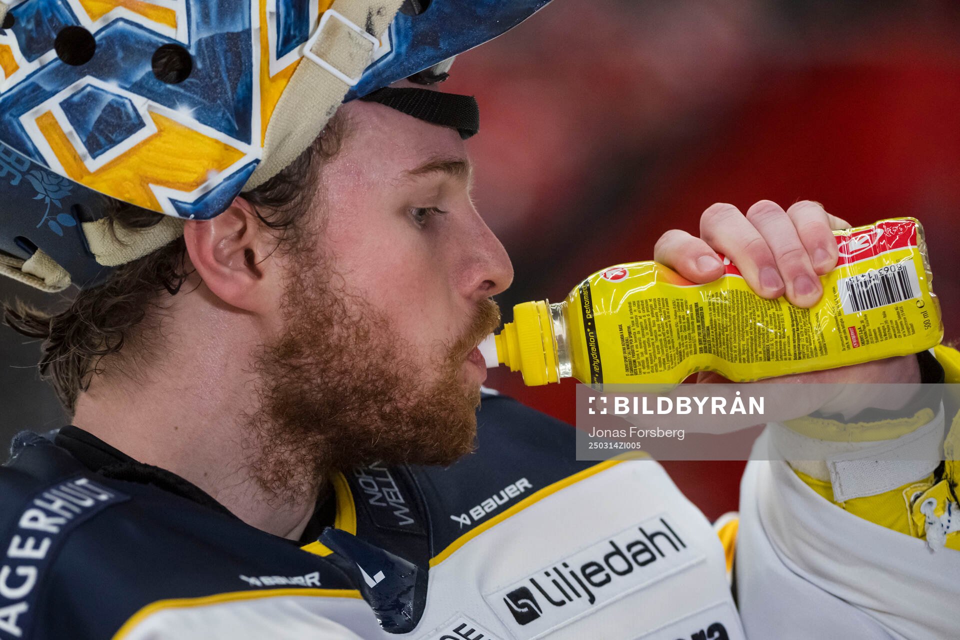 HV71s målvakt Hugo Alnefelt