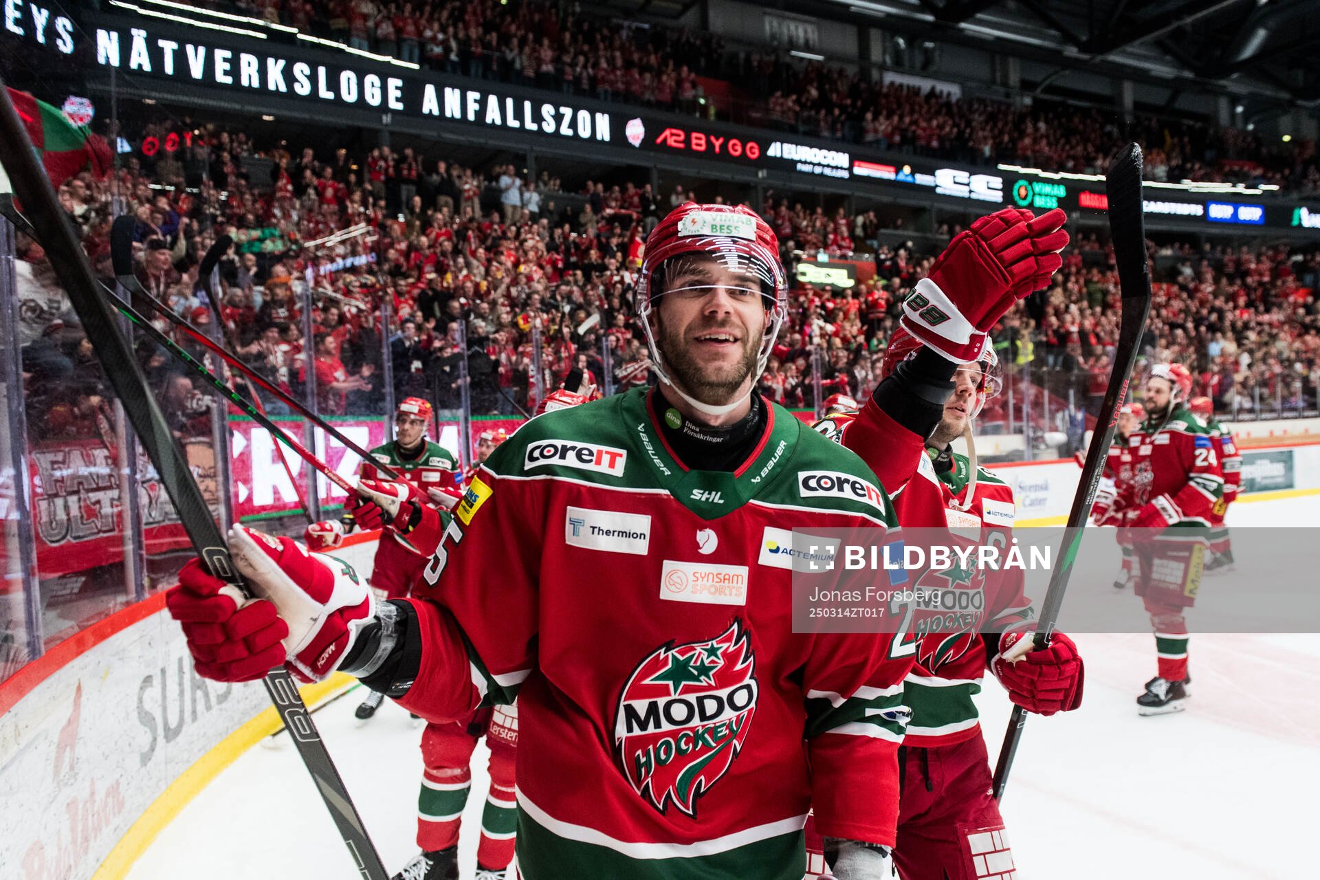 Modos Sam Vigneault jublar