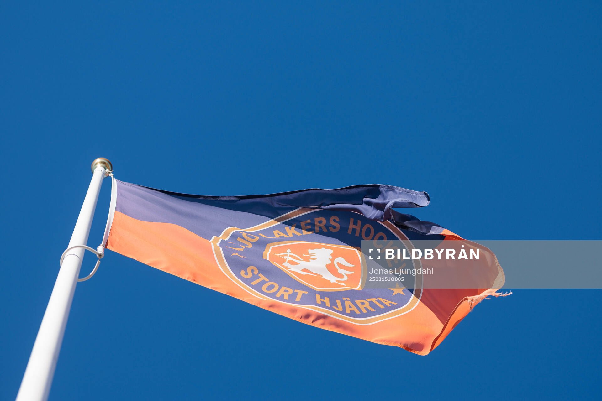 Växjös flagga