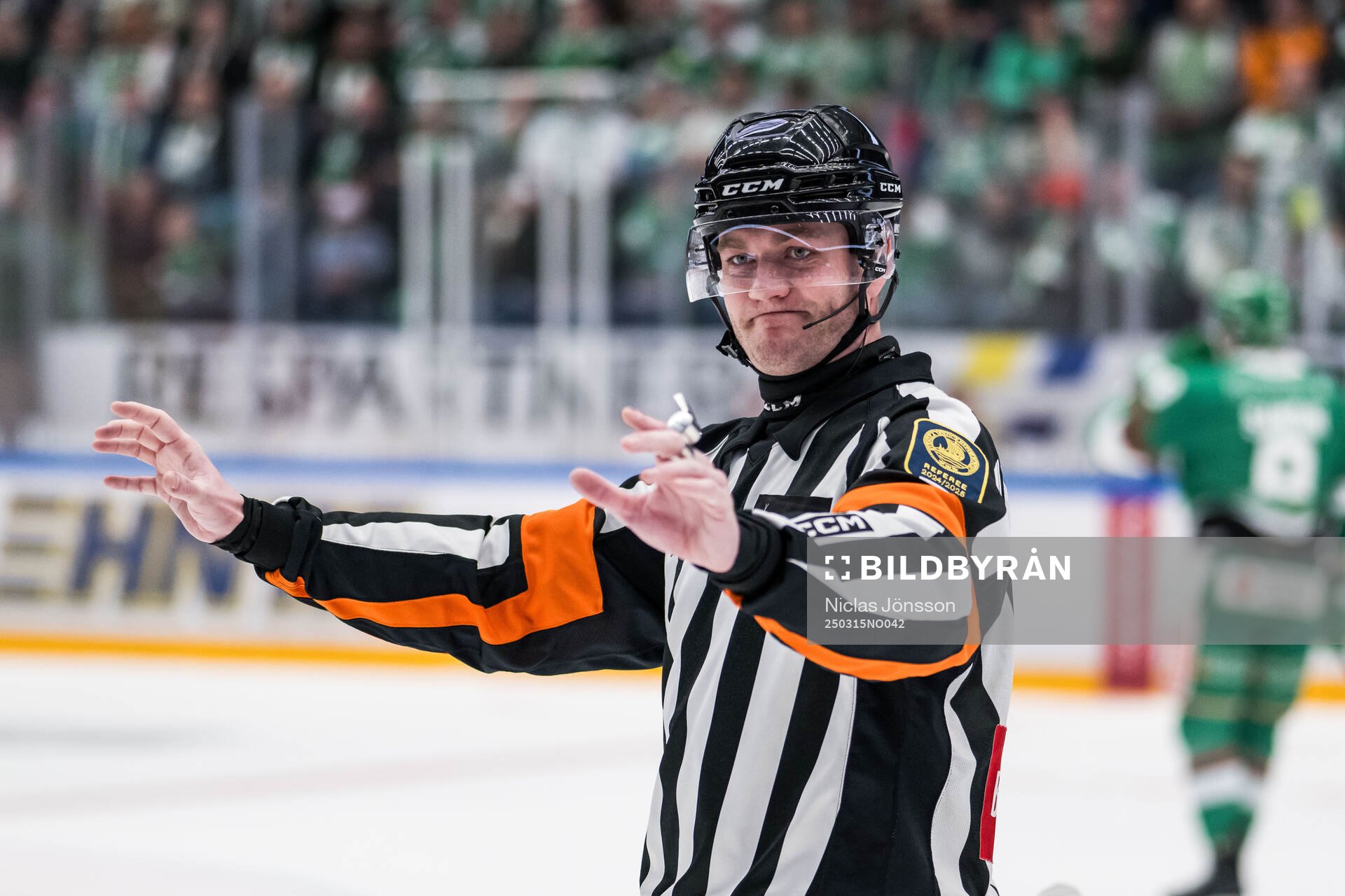 Domare Daniel Eriksson