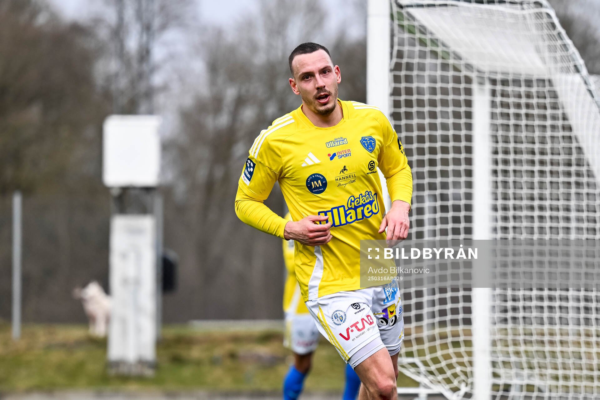 Falkenbergs Viktor Ekblom jublar under träningsmatchen mellan Helsingborg och Falkenberg den 16 mars 2025 i Helsingborg. 