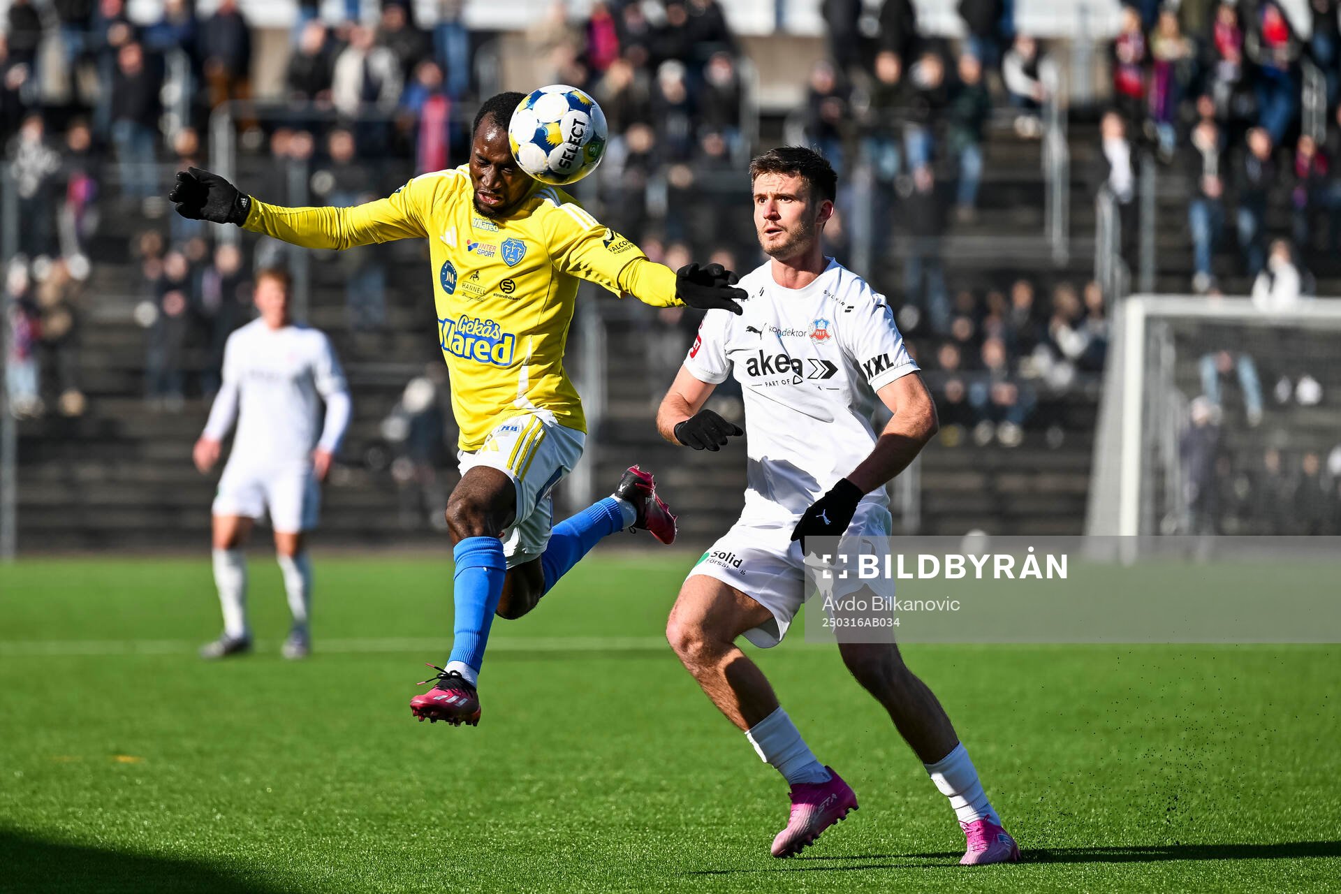 Helsingborgs Wilhelm Loeper och Falkenbergs Wanbe Godwin