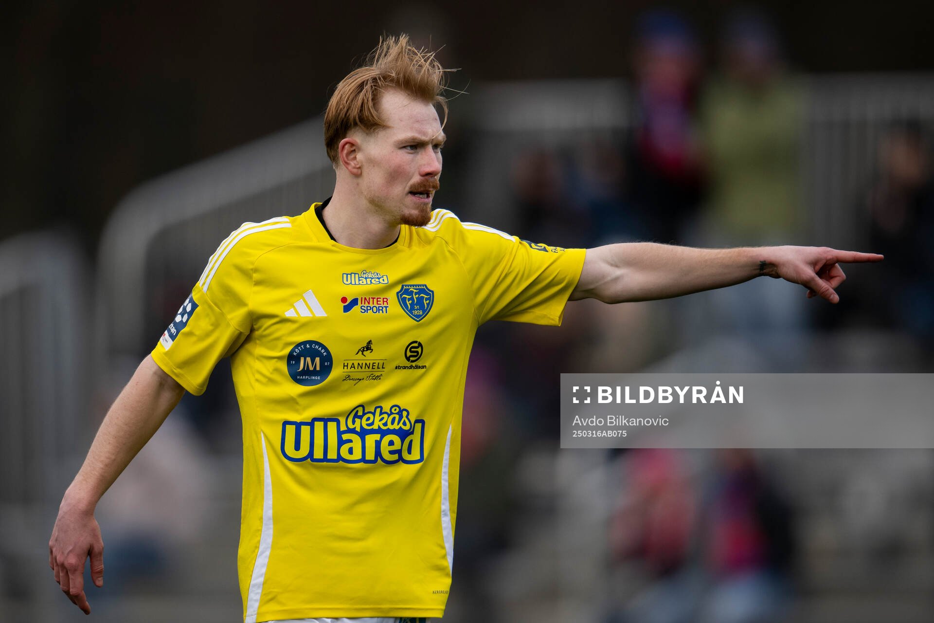 Falkenbergs Linus Borgström