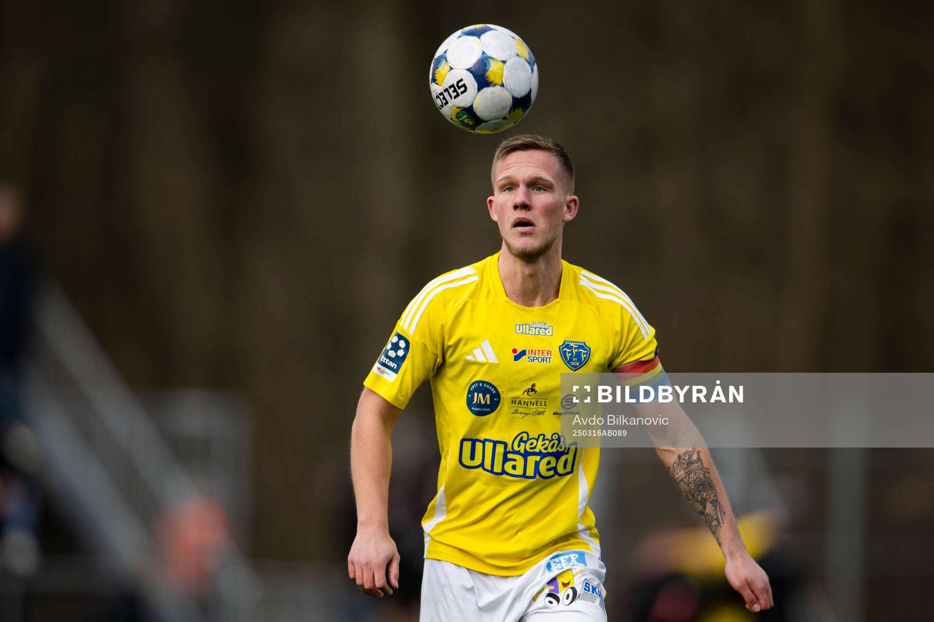 Falkenbergs Tim Stålheden