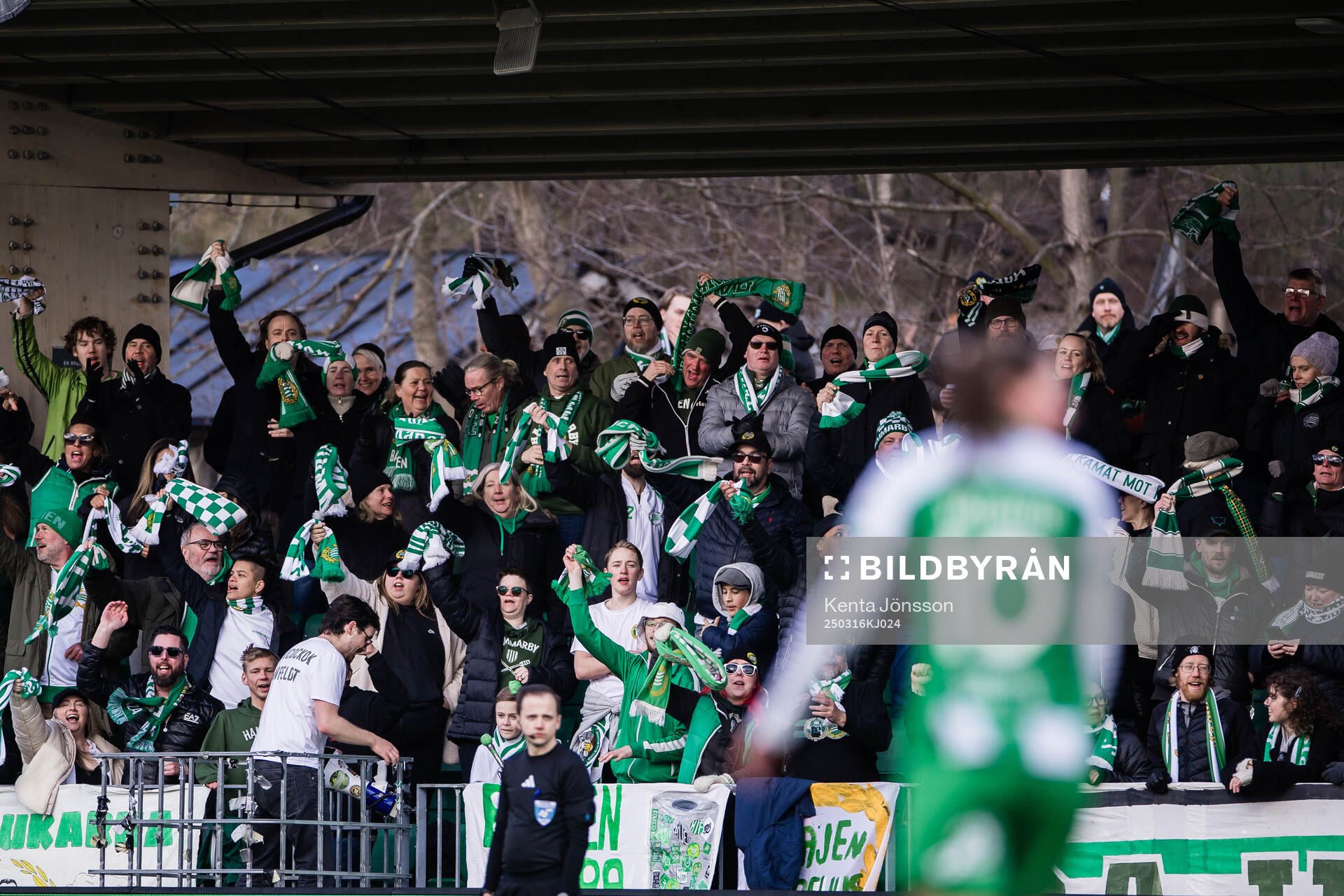 Hammarbys supportrar jublar