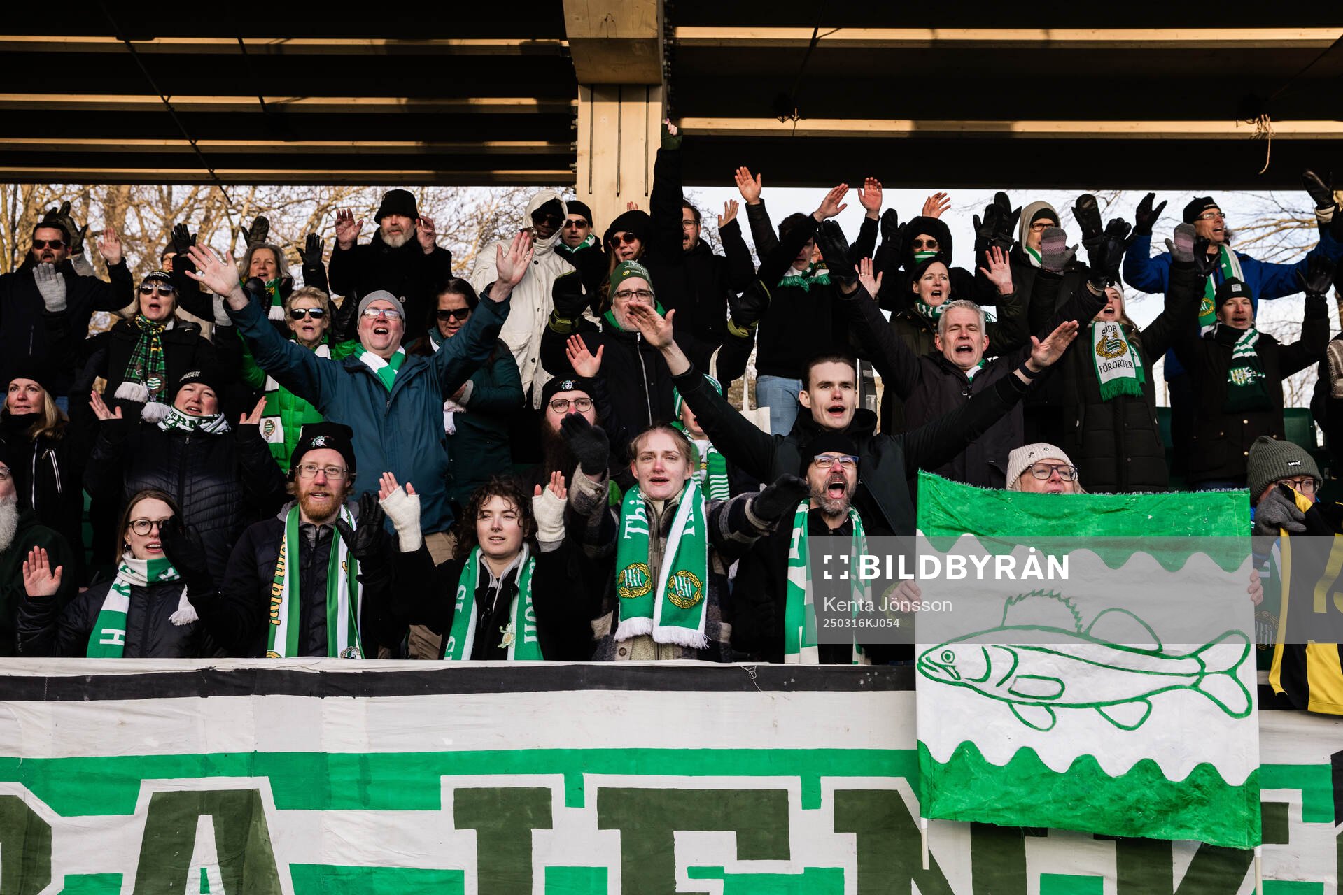 Hammarbys supportrar